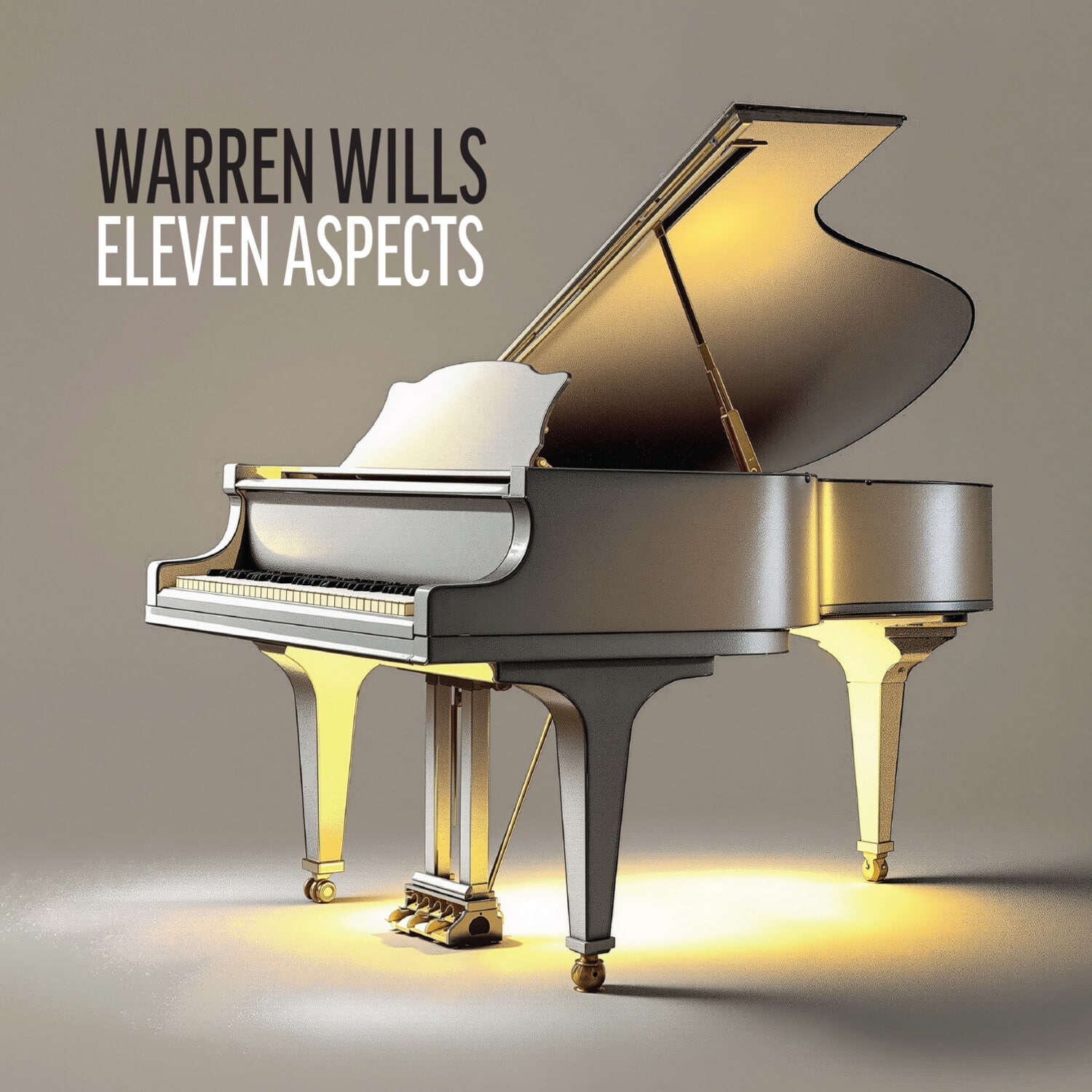 Warren Wills - Eleven Aspects   - COMPACT DISCS [CD] price history on PriceWatchPro
