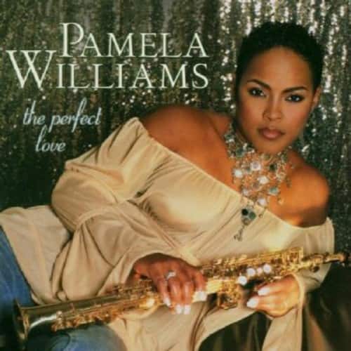 Pamela Williams - The Perfect Love  - COMPACT DISCS