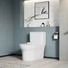Loheer - One Piece Elongated Toilet, Comfort Height, Dual Flush, Ceramic - White