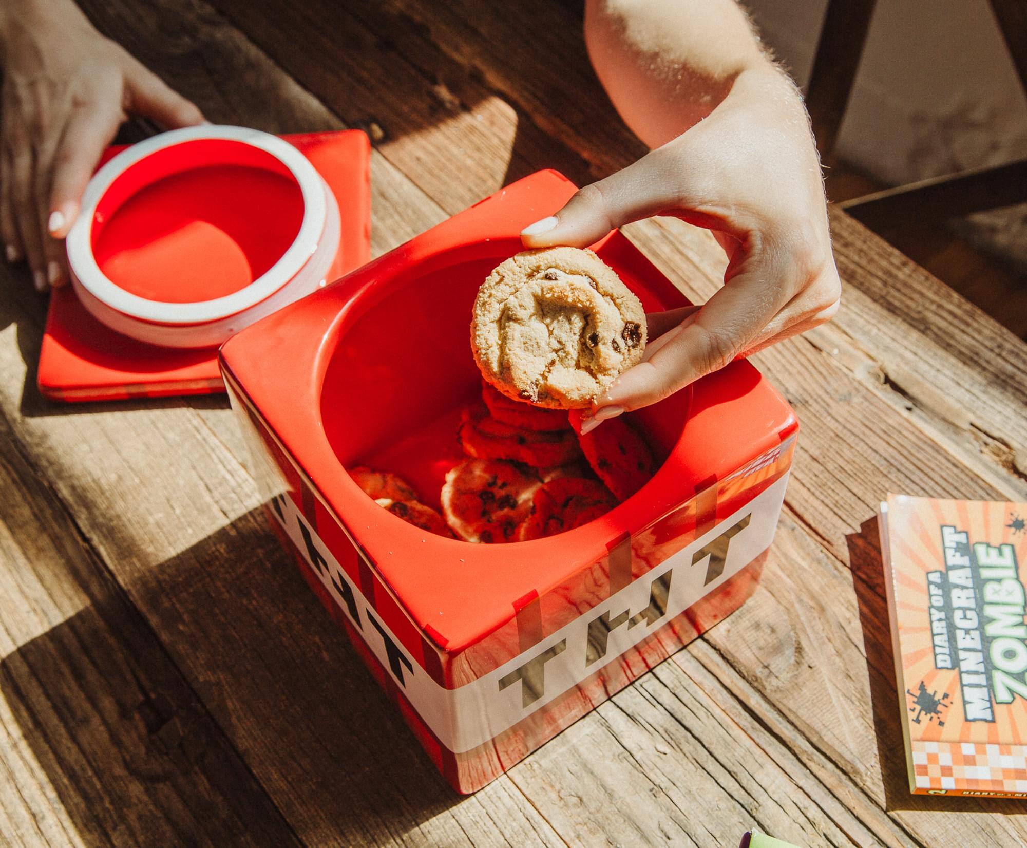 The Diary of a Minecraft Zombie