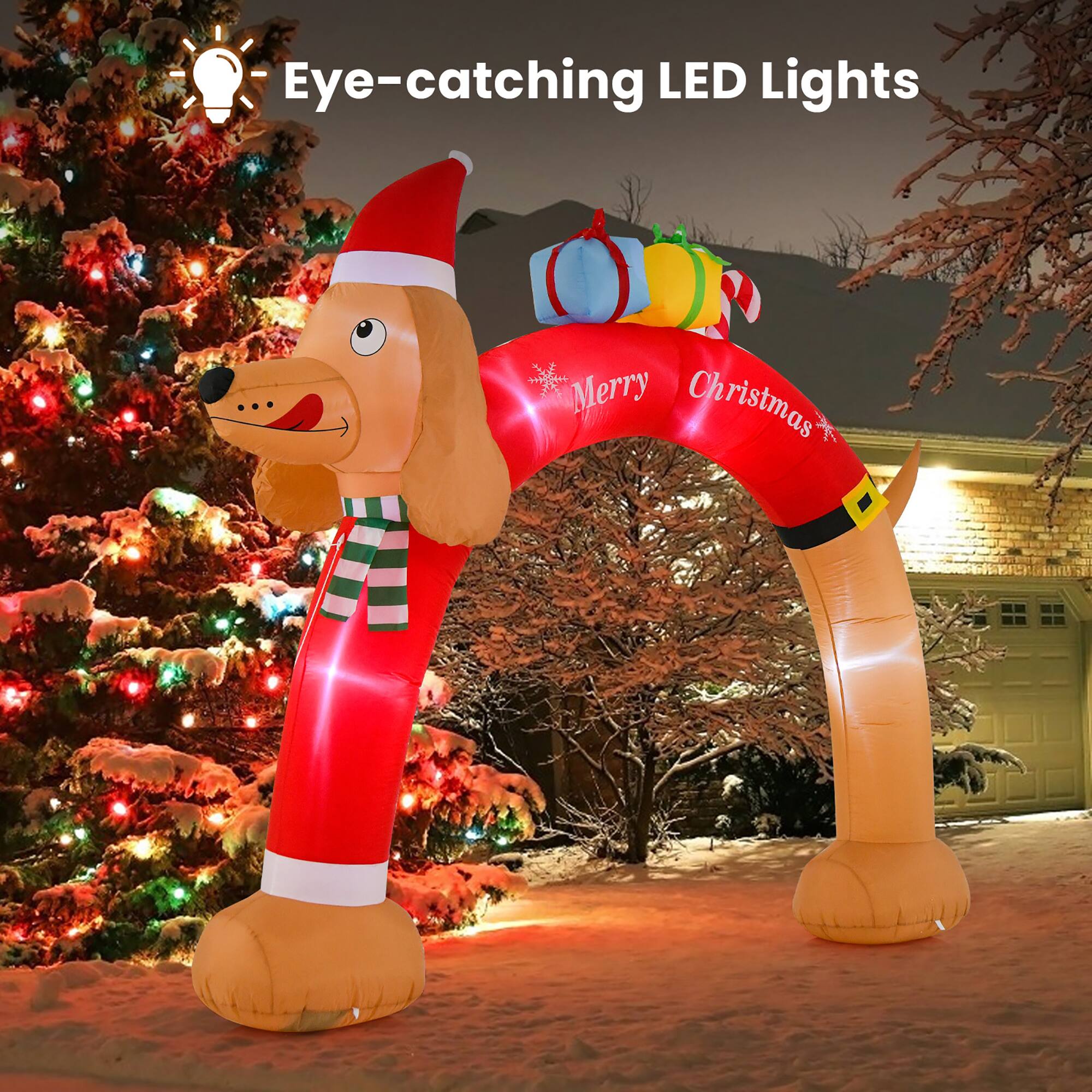 Eye-catching LED Lights  
Merry Christmas
