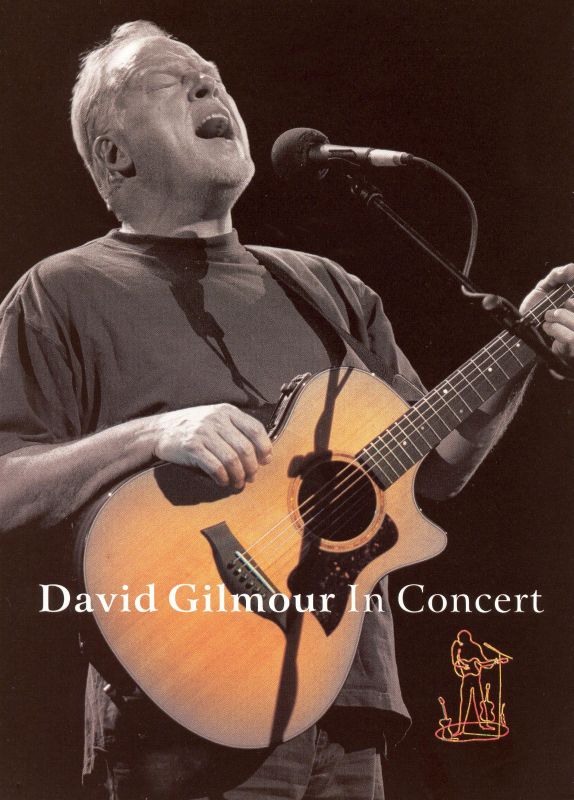 David Gilmour in Concert [DVD] [2001]