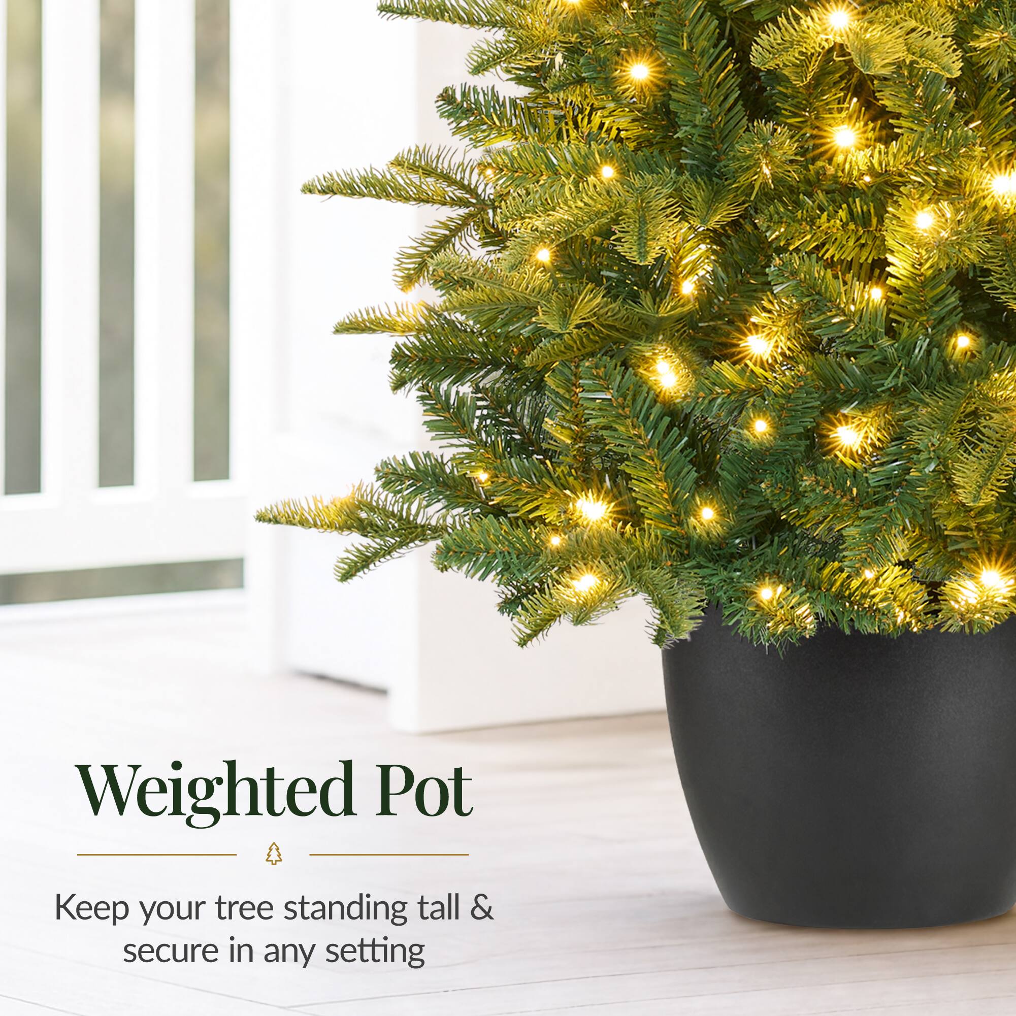 Weighted Pot

Keep your tree standing tall & secure in any setting
