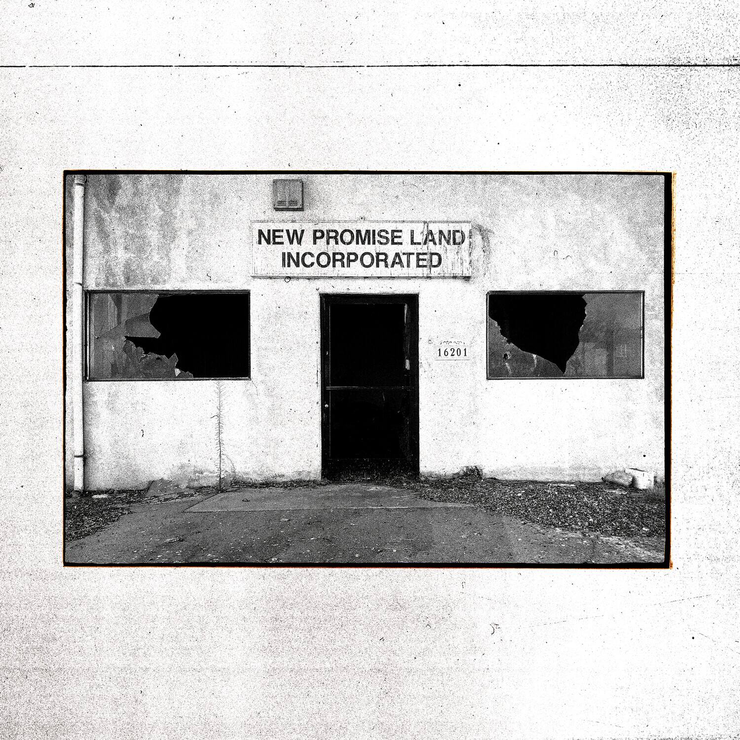 The Temperance Movement New Promise Land Incorporated COMPACT DISCS [CD ...