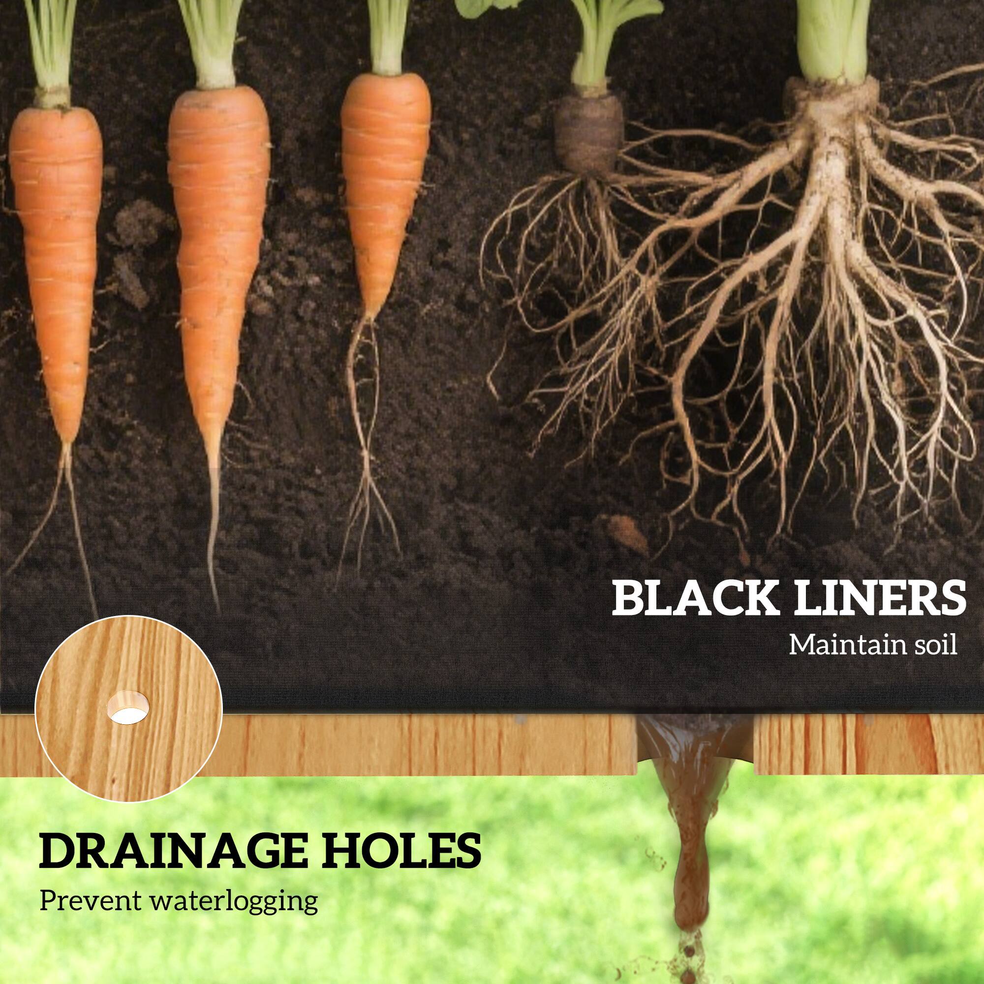 BLACK LINERS  
Maintain soil  

DRAINAGE HOLES  
Prevent waterlogging