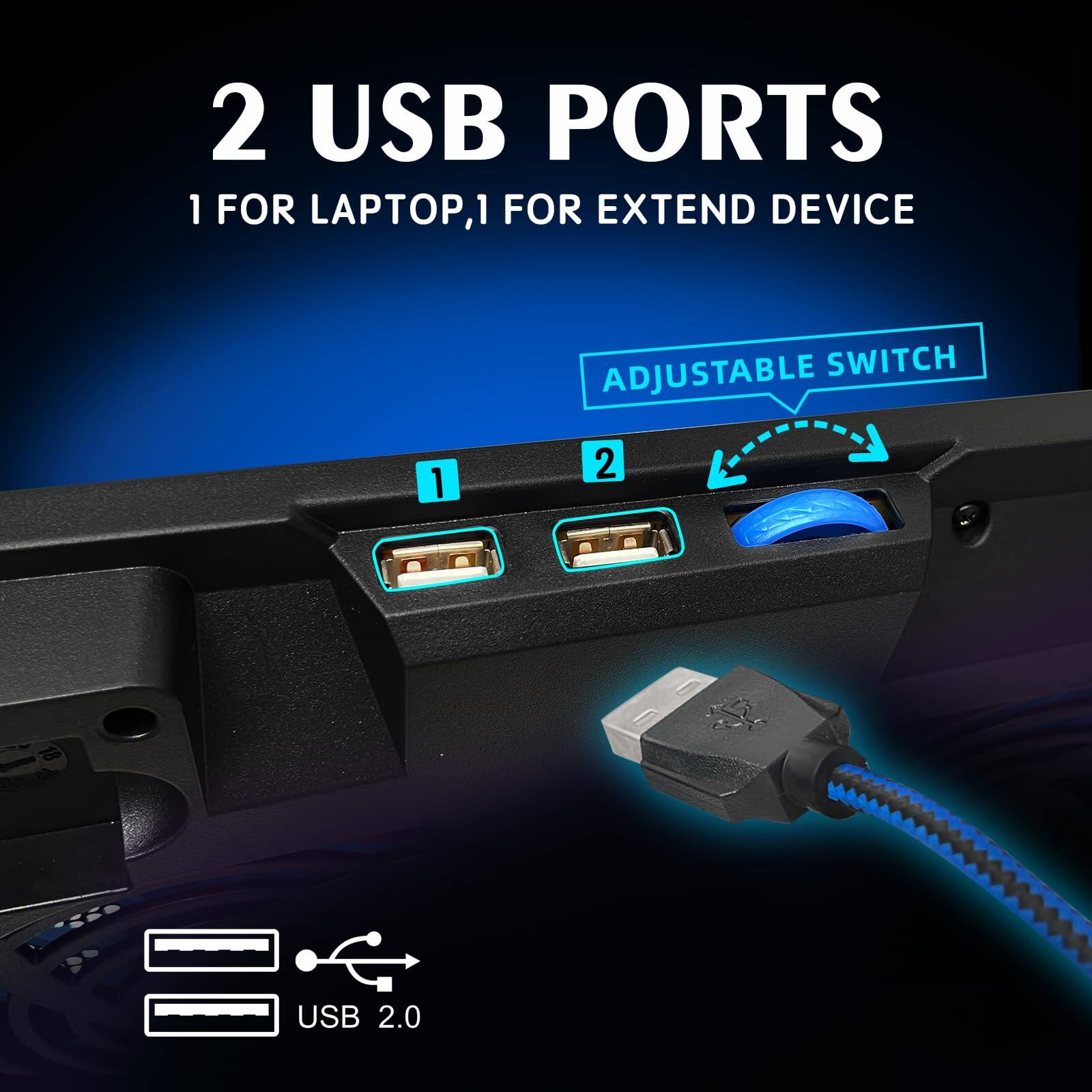 2 USB Ports  
1 for Laptop, 1 for Extend Device  
Adjustable Switch  
USB 2.0