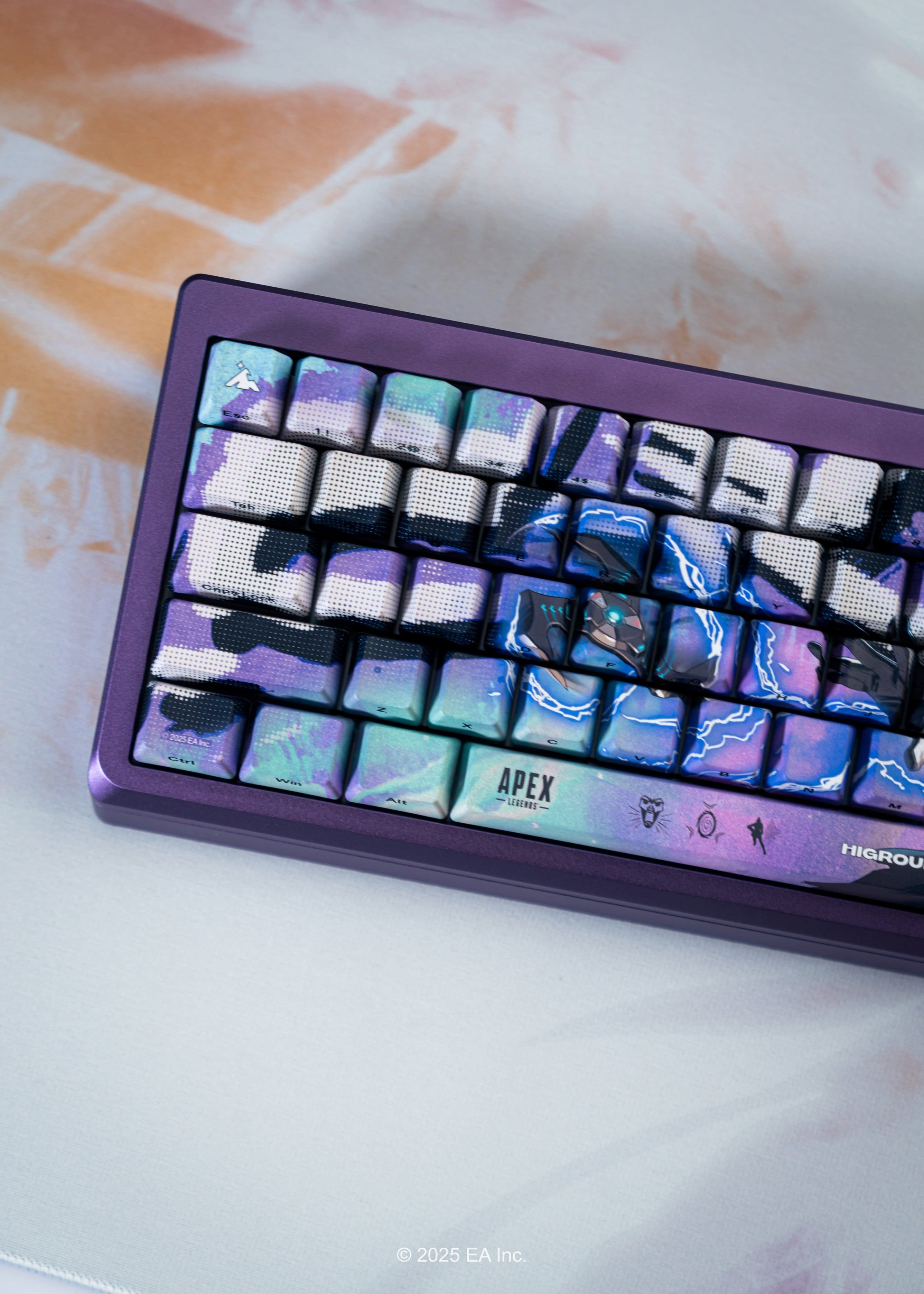 The text on the image reads "2025 EA Inc."