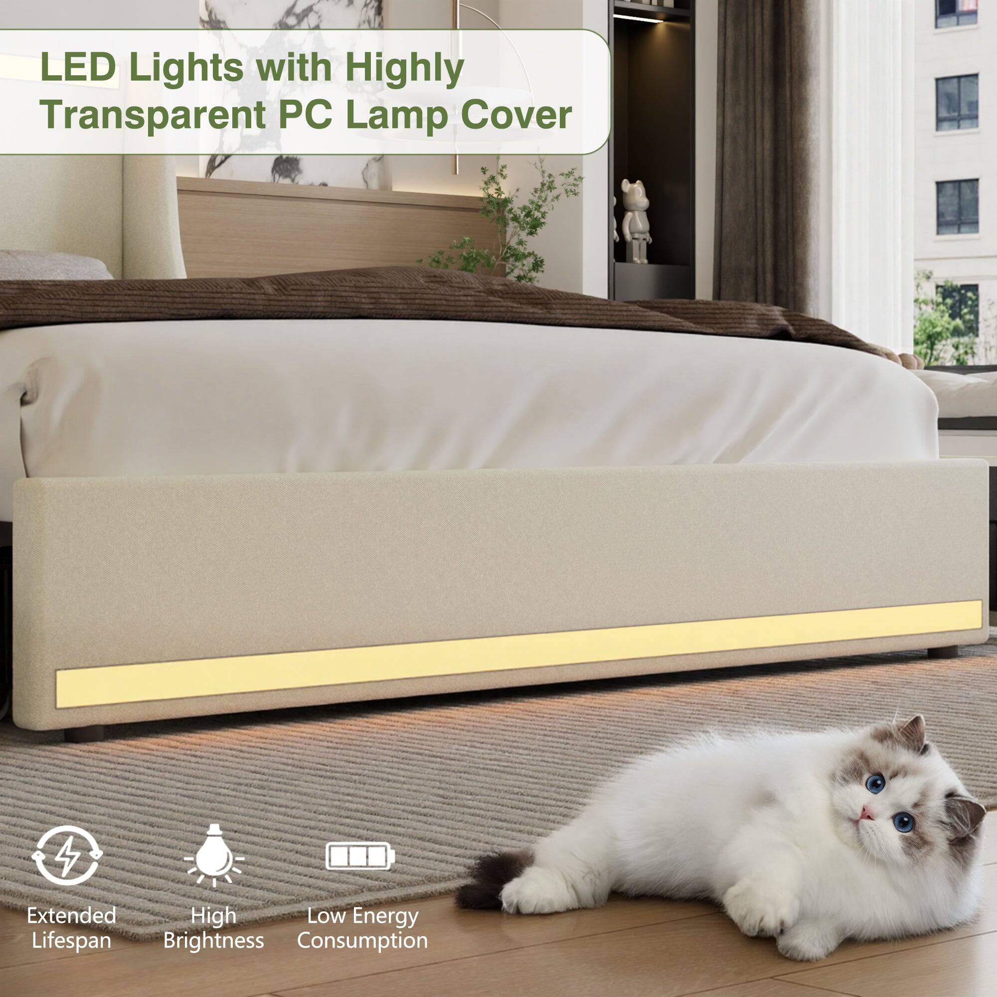 LED Lights with Highly Transparent PC Lamp Cover

- Extended Lifespan
- High Brightness
- Low Energy Consumption