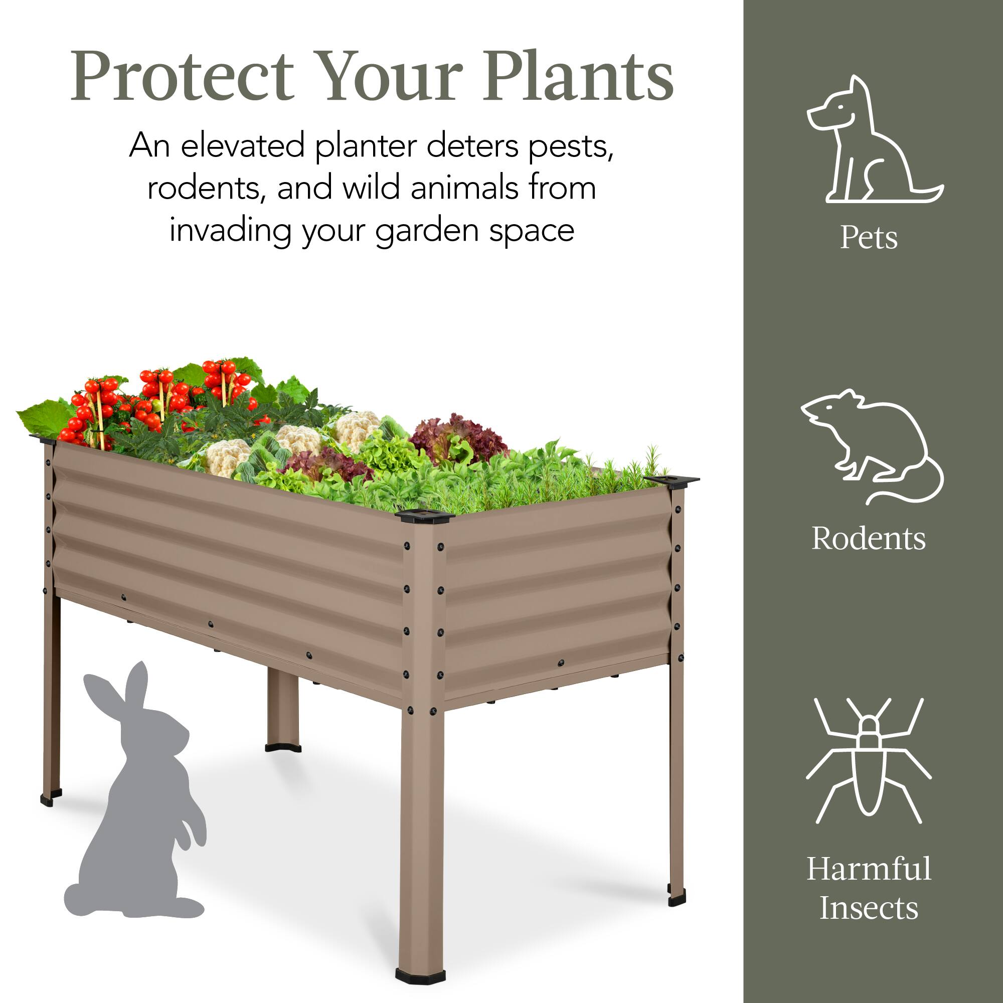 Protect Your Plants

An elevated planter deters pests, rodents, and wild animals from invading your garden space

Pets  
Rodents  
Harmful Insects