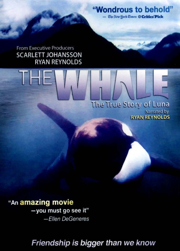 Best Buy: The Whale [DVD] [2011]
