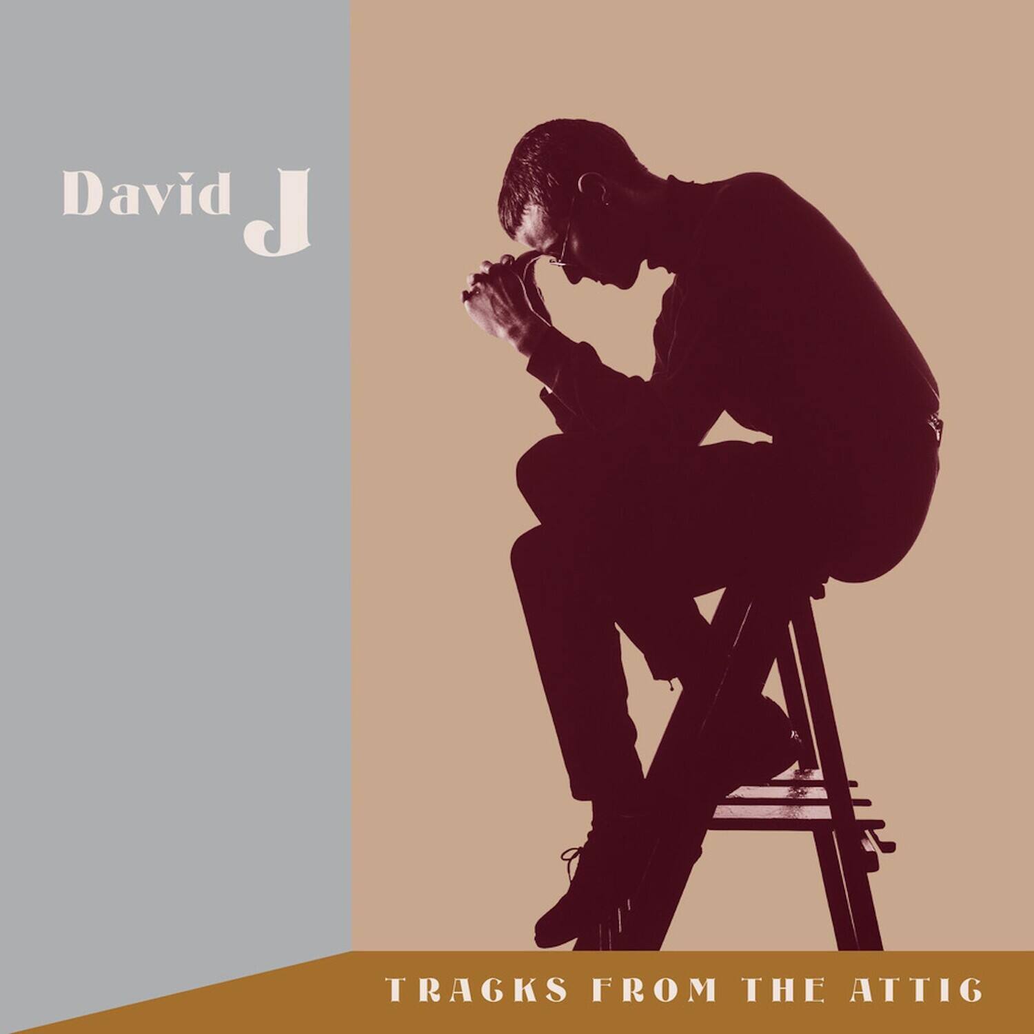 David J - Tracks From The Attic - VINYL LP
