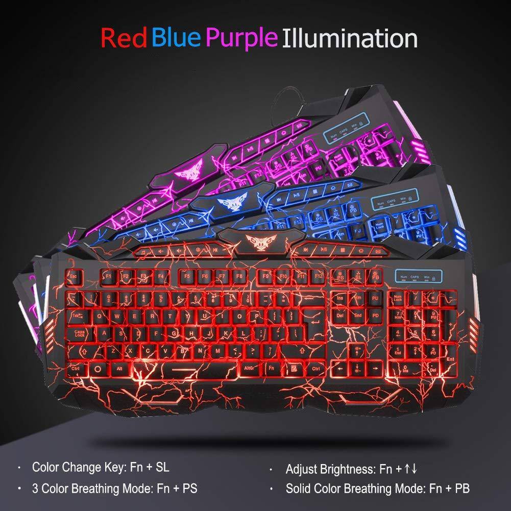 Red Blue Purple Illumination

- Color Change Key: Fn + SL
- 3 Color Breathing Mode: Fn + PS
- Adjust Brightness: Fn + ↑/↓
- Solid Color Breathing Mode: Fn + PB