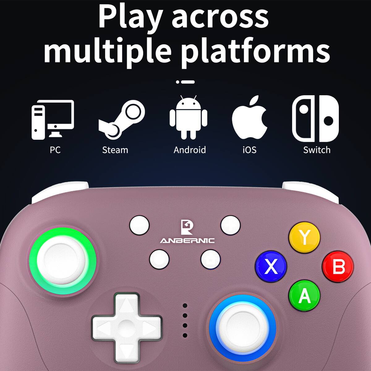 Play across multiple platforms

PC Steam Android iOS Switch

ANBERNIC

X Y A B