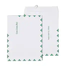 Staples - First Class EasyClose Catalog Envelopes, 10" x 13", 100/Box - White with Green Diamond Border