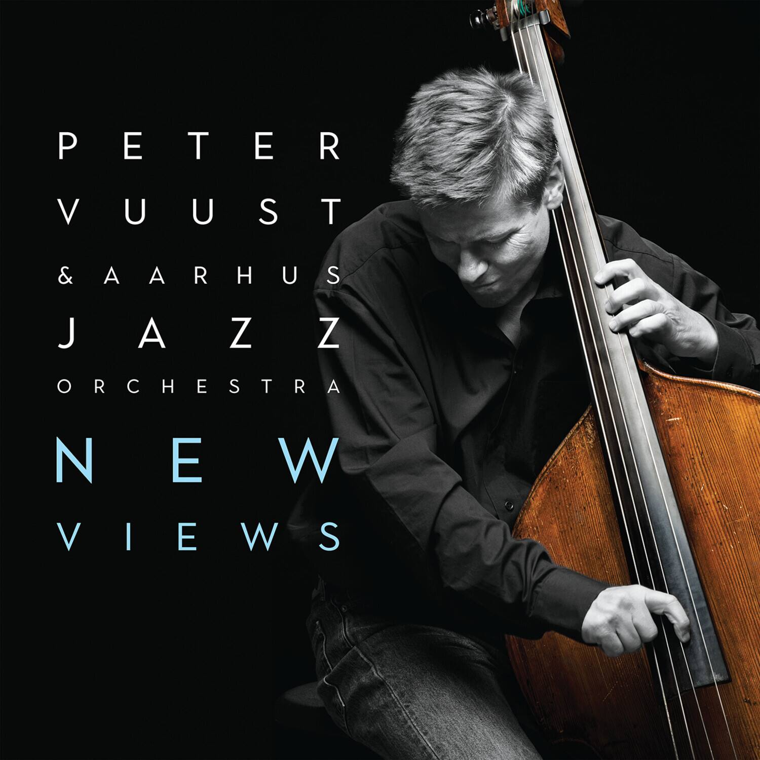 PETER VUUST  
&AARHUS JAZZ ORCHESTRA  
NEW VIEWS