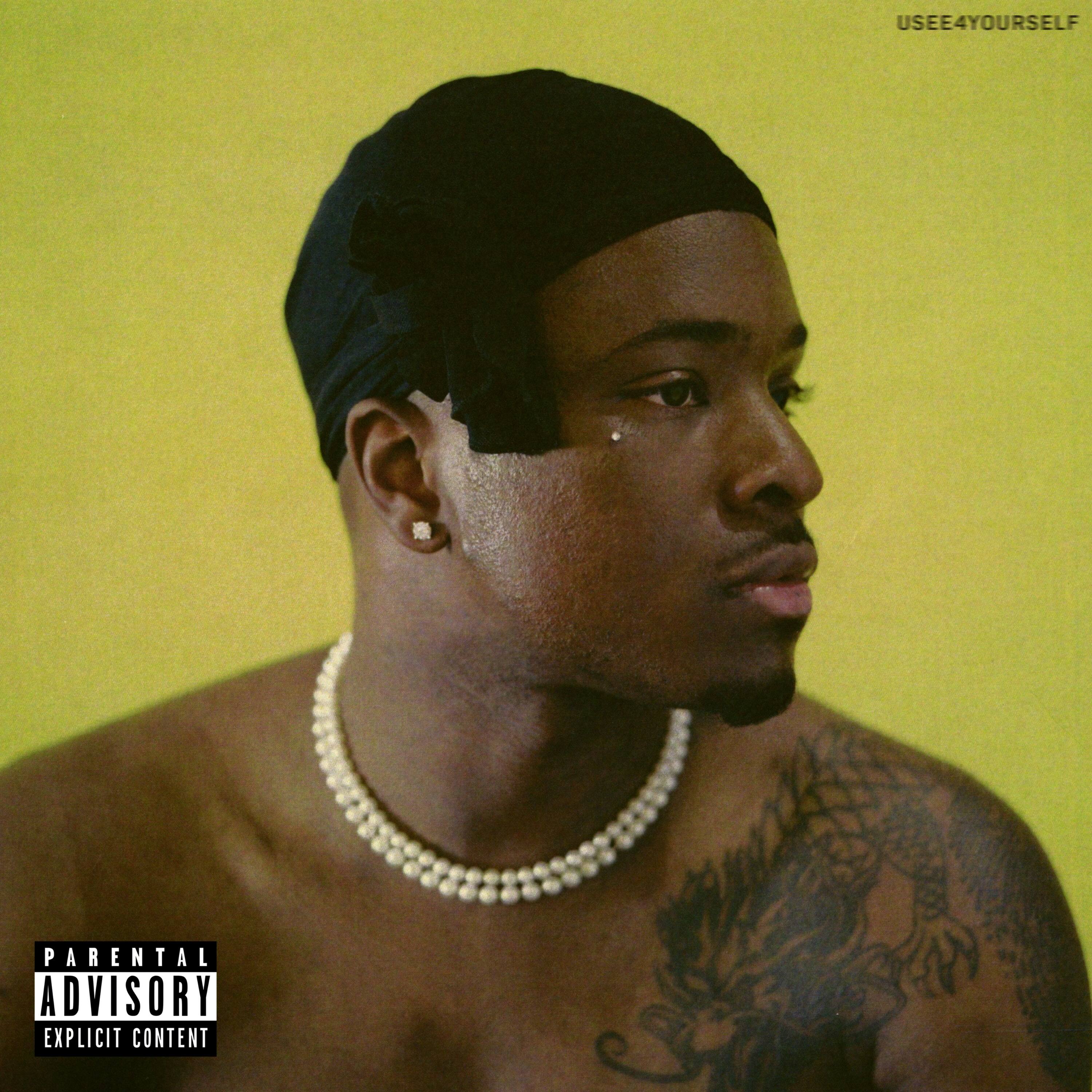 Usee4yourself [LP] - VINYL