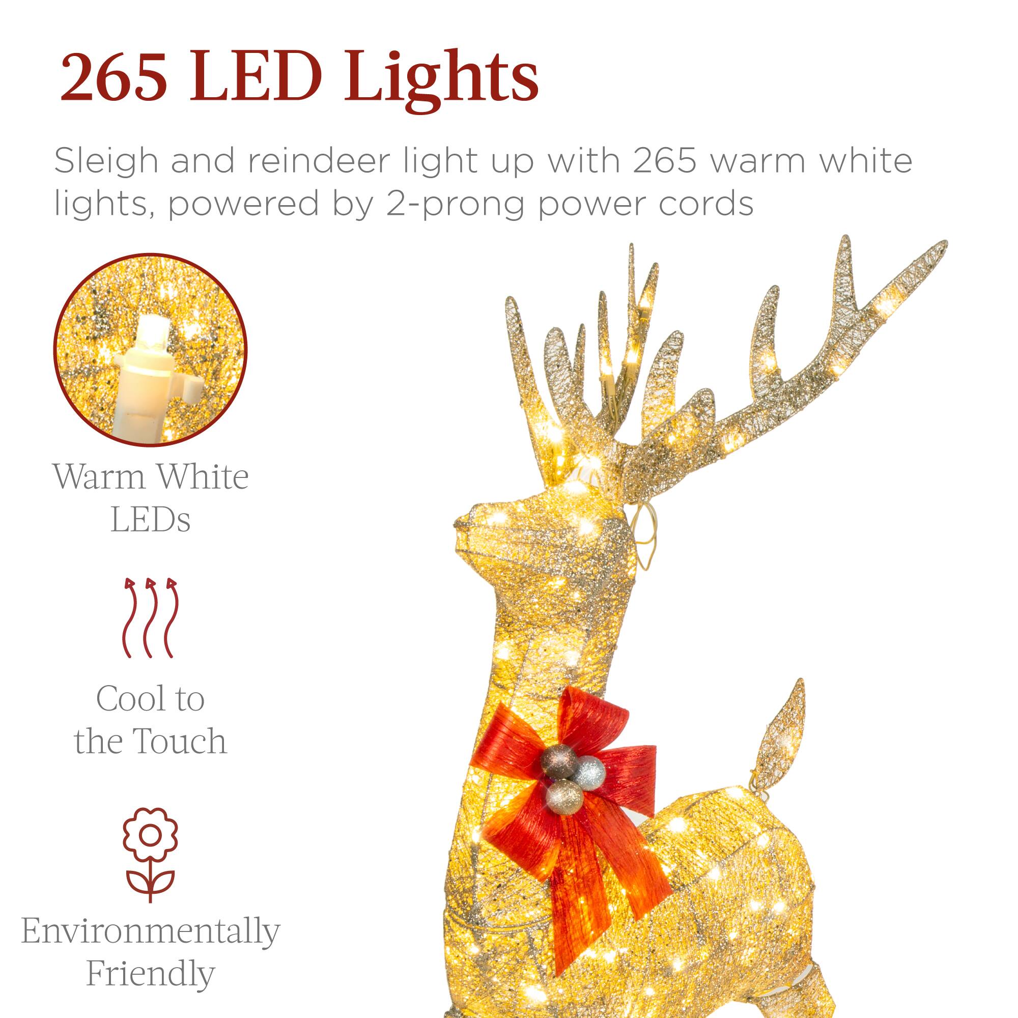 265 LED Lights

Sleigh and reindeer light up with 265 warm white lights, powered by 2-prong power cords

- Warm White LEDs
- Cool to the Touch
- Environmentally Friendly