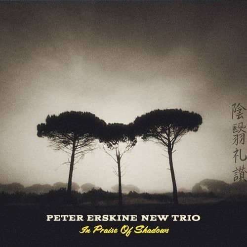 Peter Erskine New Trio - In Praise Of Shadows   - COMPACT DISCS [CD] price history on PriceWatchPro