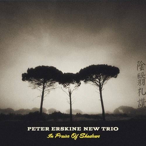 Peter Erskine New Trio - In Praise Of Shadows   - COMPACT DISCS [CD]