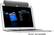 Angle Standard. Carbon Audio - Zooka Wireless Bluetooth Speaker for Apple® iPad® - Gray.