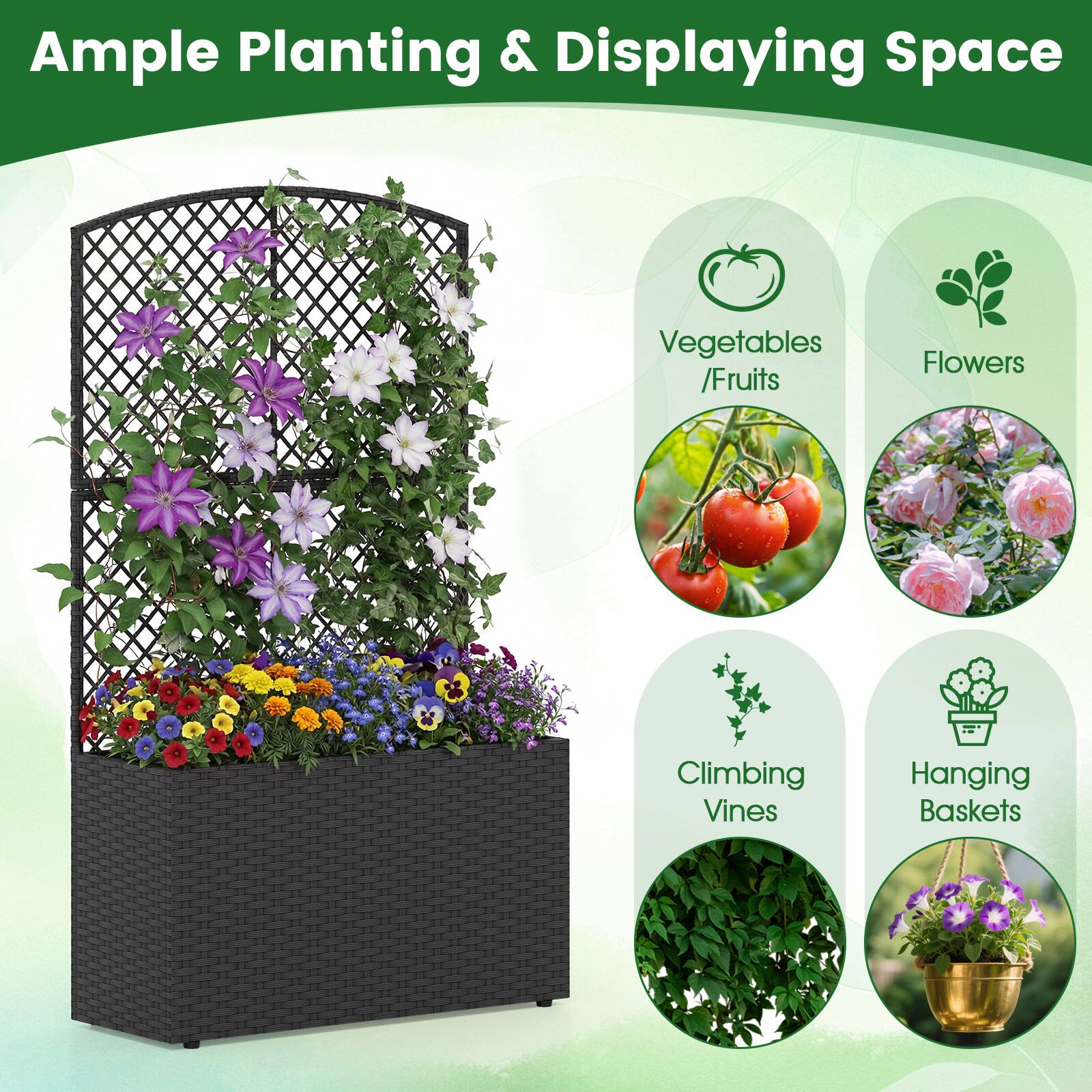 Ample Planting & Displaying Space

- Vegetables / Fruits
- Flowers
- Climbing Vines
- Hanging Baskets