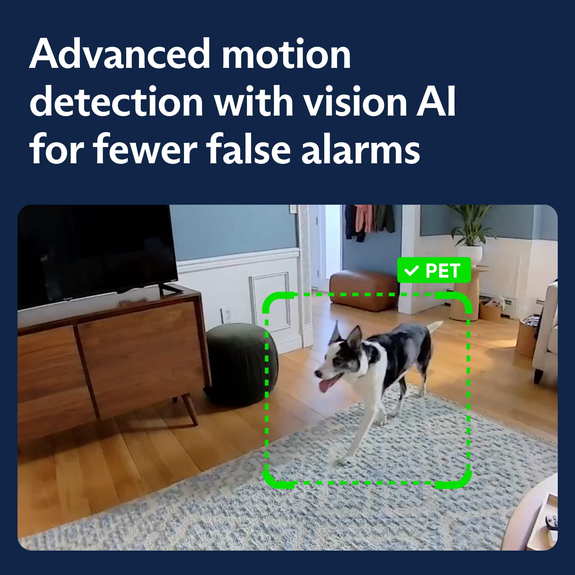 Advanced motion detection with vision AI for fewer false alarms.
