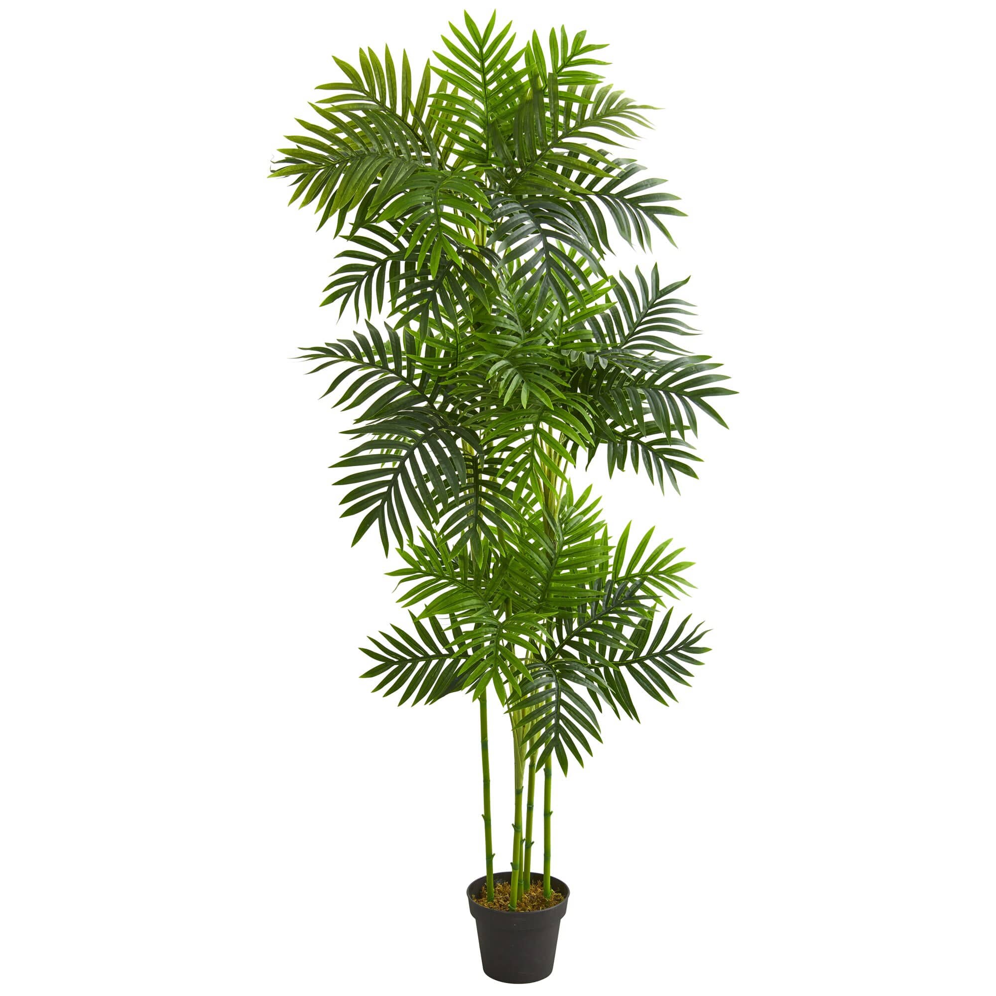 BreeBe - 6' Phoenix Palm Artificial Tree - Green