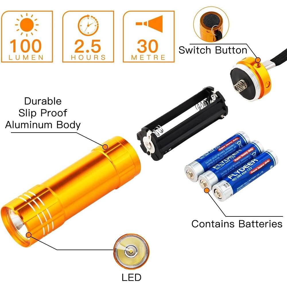 100 LUMEN  
2.5 HOURS  
30 METRE  

Durable Slip Proof Aluminum Body  

Switch Button  

Contains Batteries  

LED  

FLYDEER  
15V CAUTION  
AAA