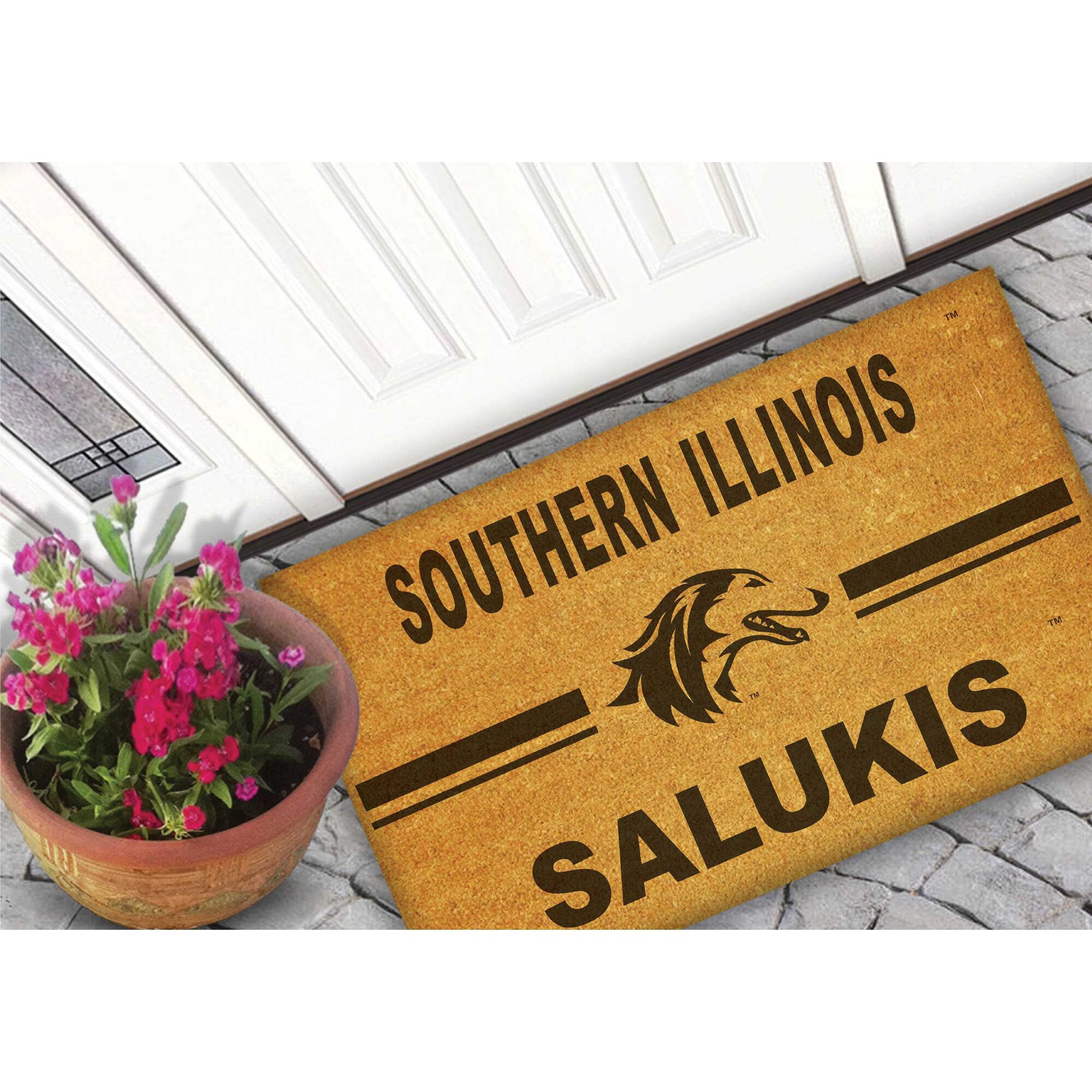SOUTHERN ILLINOIS  
SALUKIS