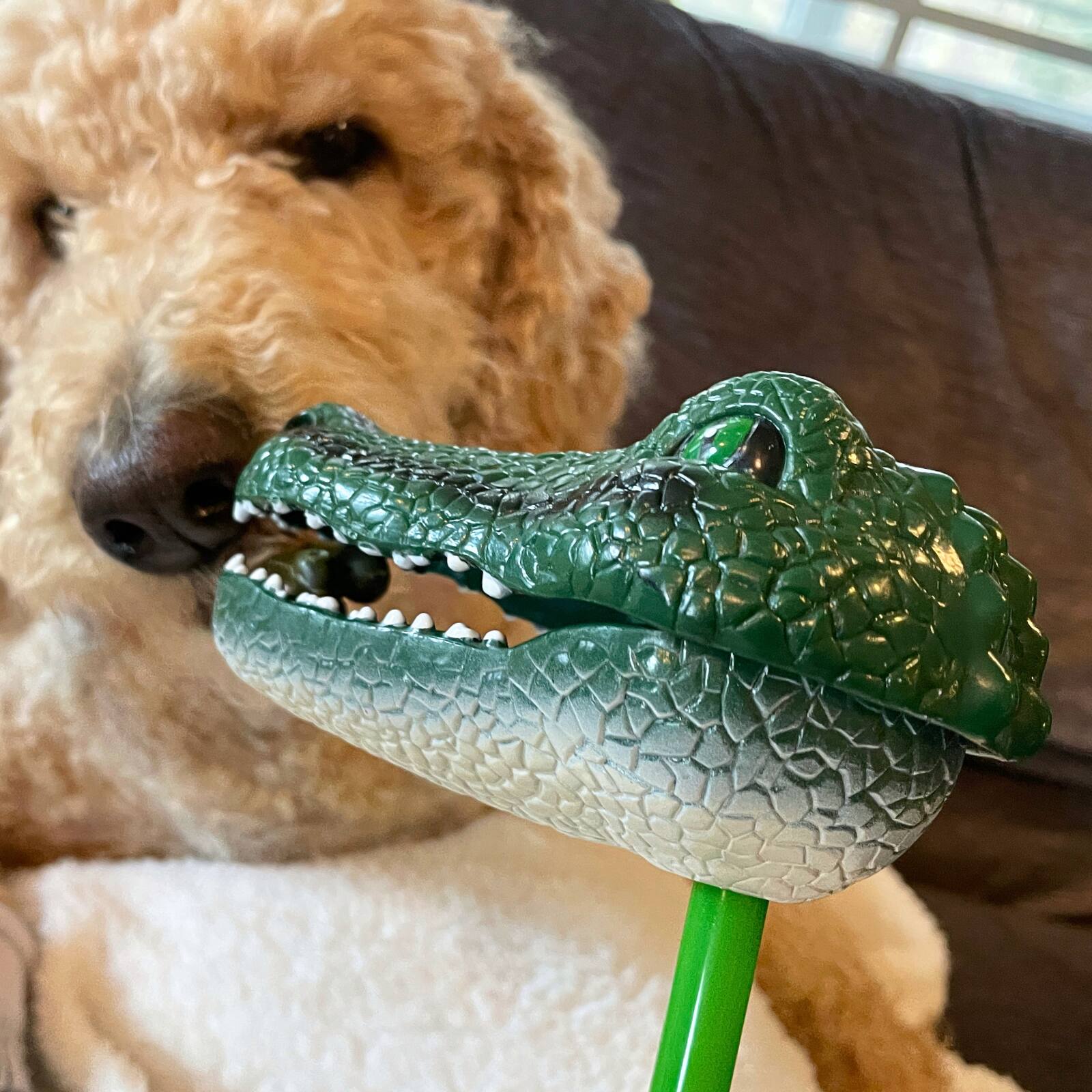 Alt View 3. Safari Ltd. - Snapper Alligator Toy.