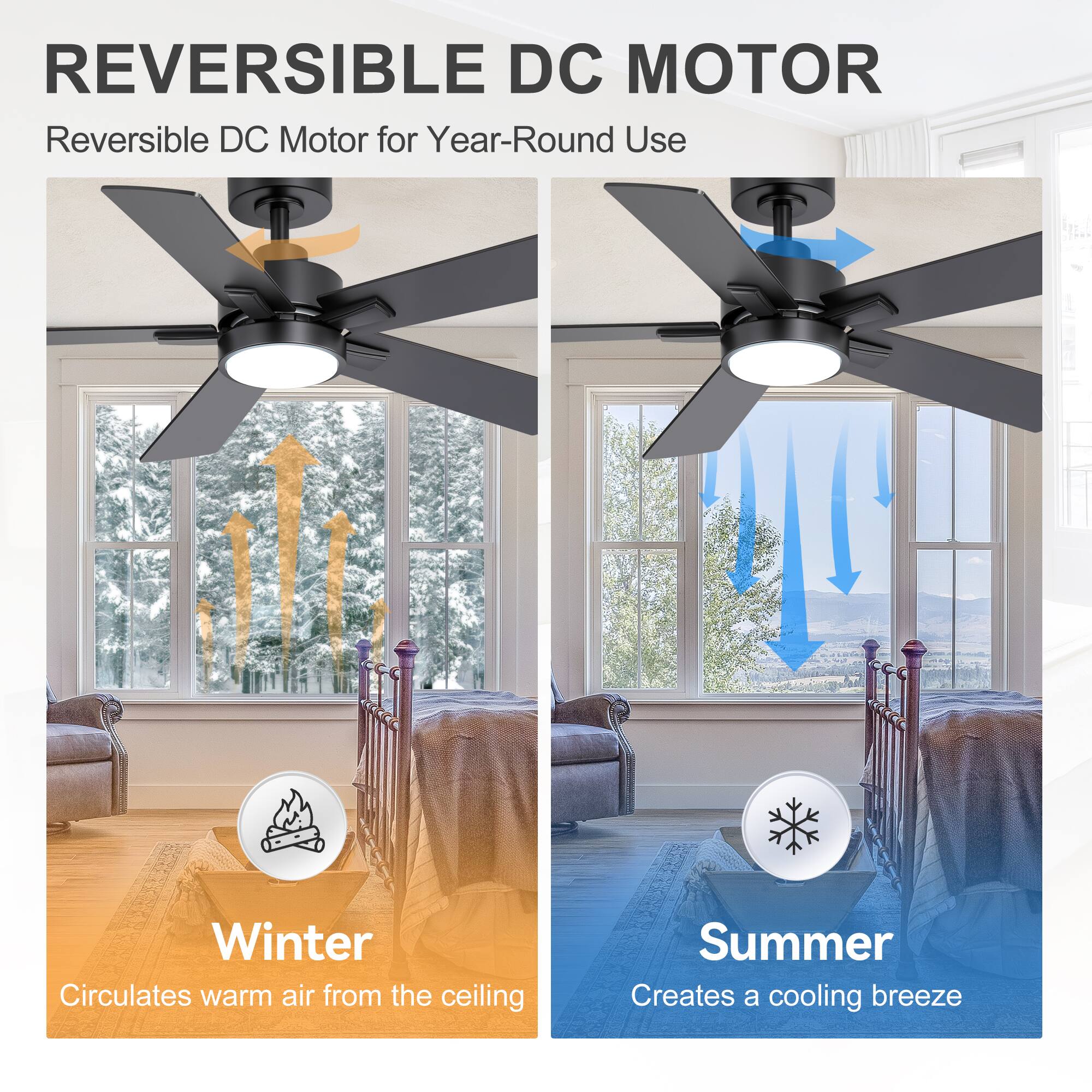 REVERSIBLE DC MOTOR  
Reversible DC Motor for Year-Round Use

Winter  
Circulates warm air from the ceiling

Summer  
Creates a cooling breeze