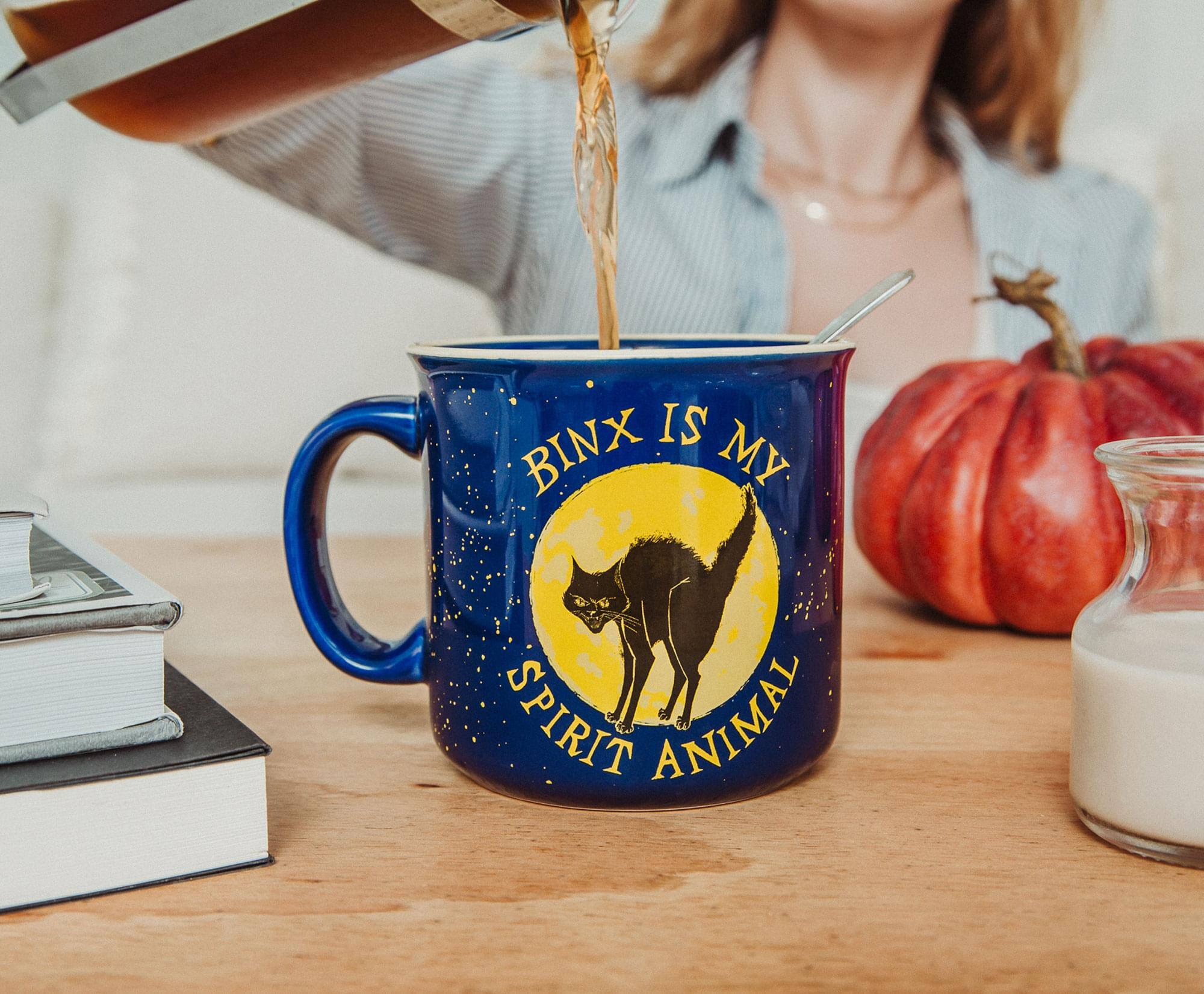 Binx is my spirit animal