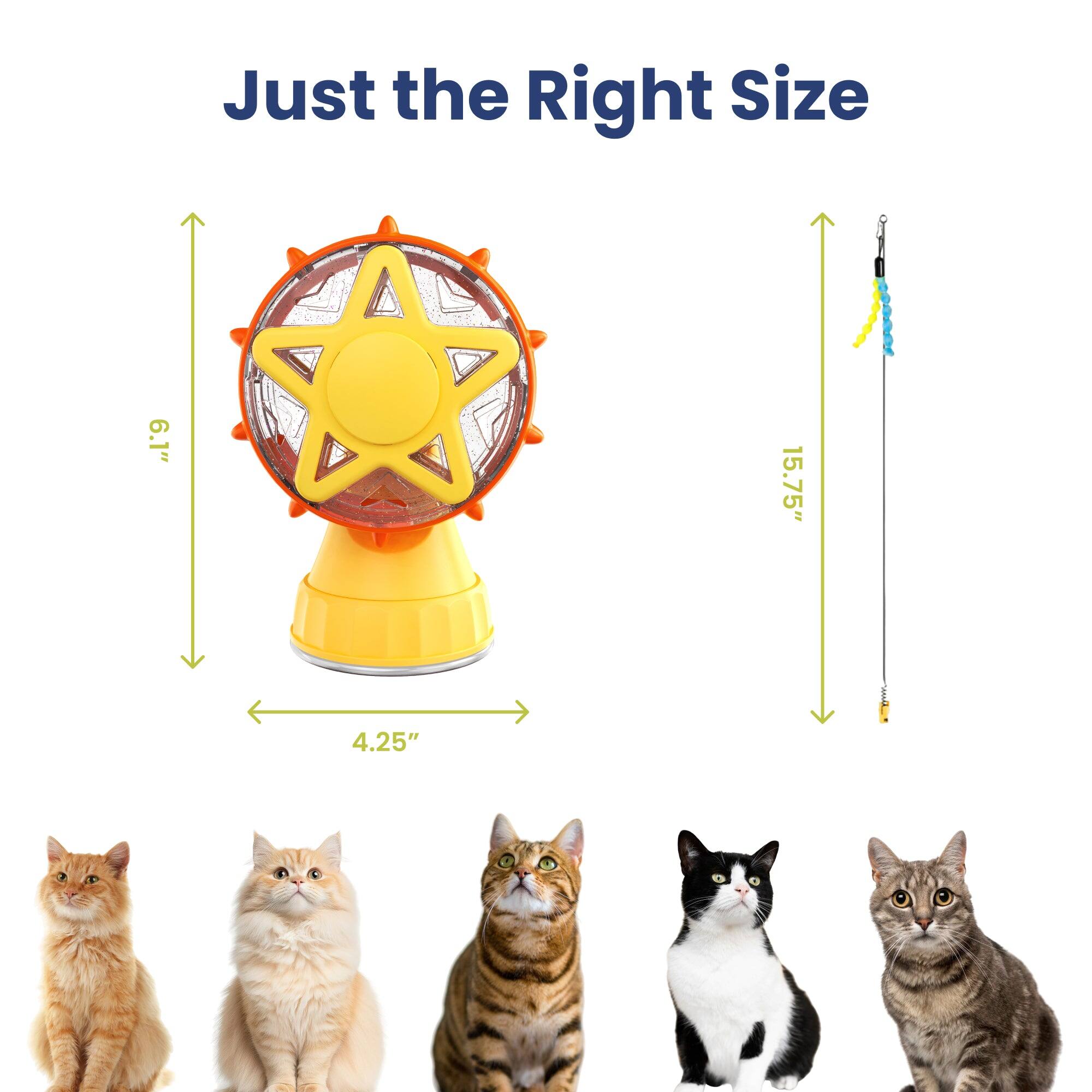 Just the Right Size

6.1"
15.75"
4.25"