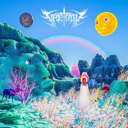 Fire-Toolz - I am upset because I see something that is not there. - VINYL LP