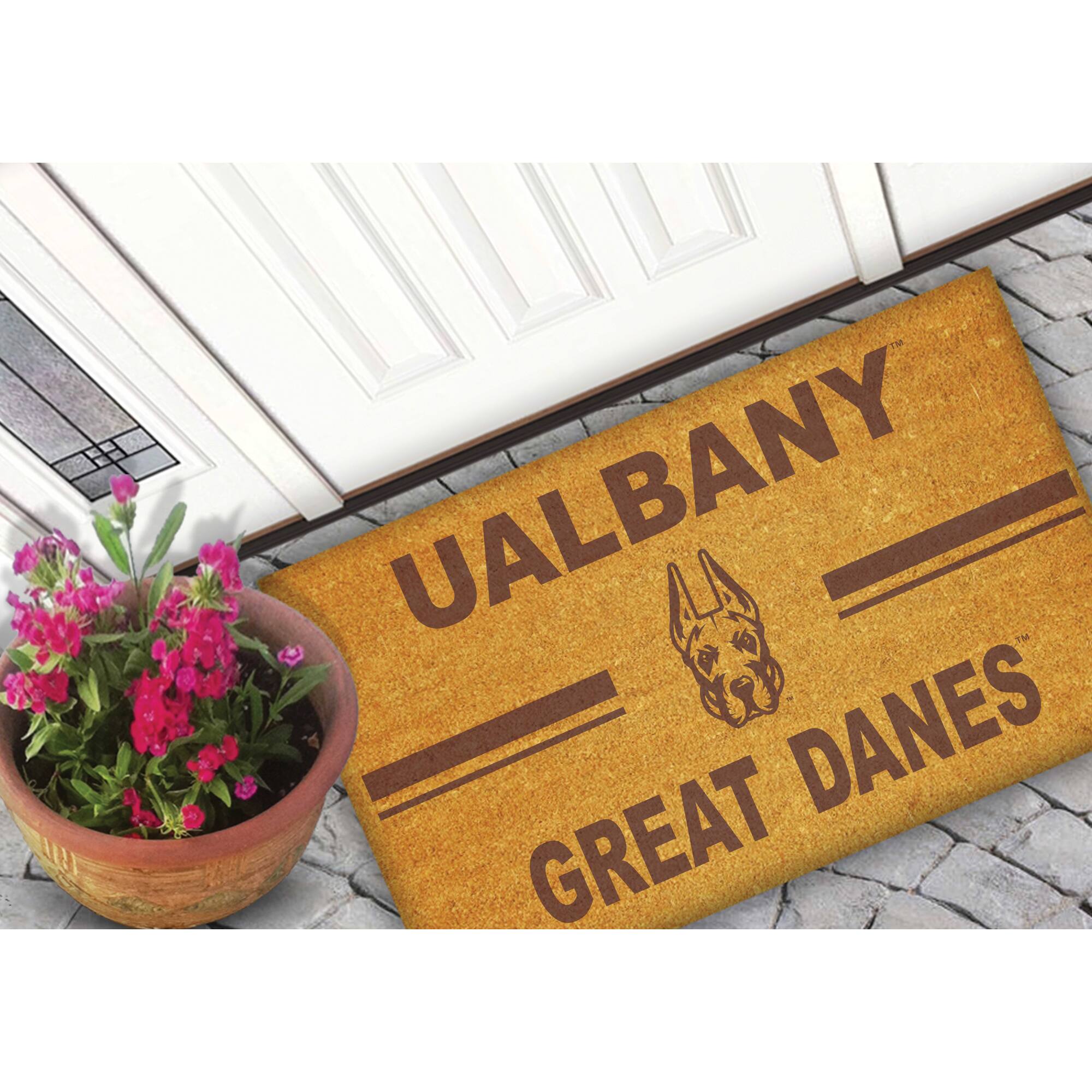 UALBANY  
GREAT DANES