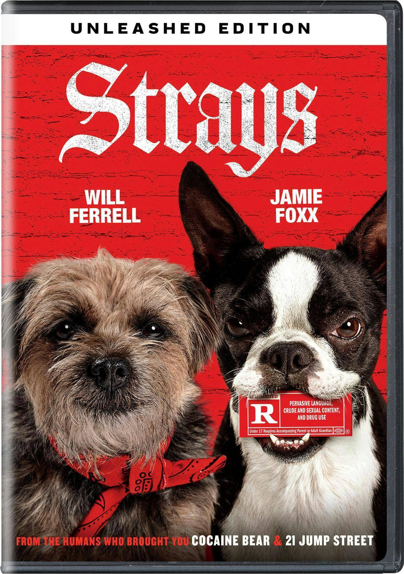 Strays [DVD] [Standard]