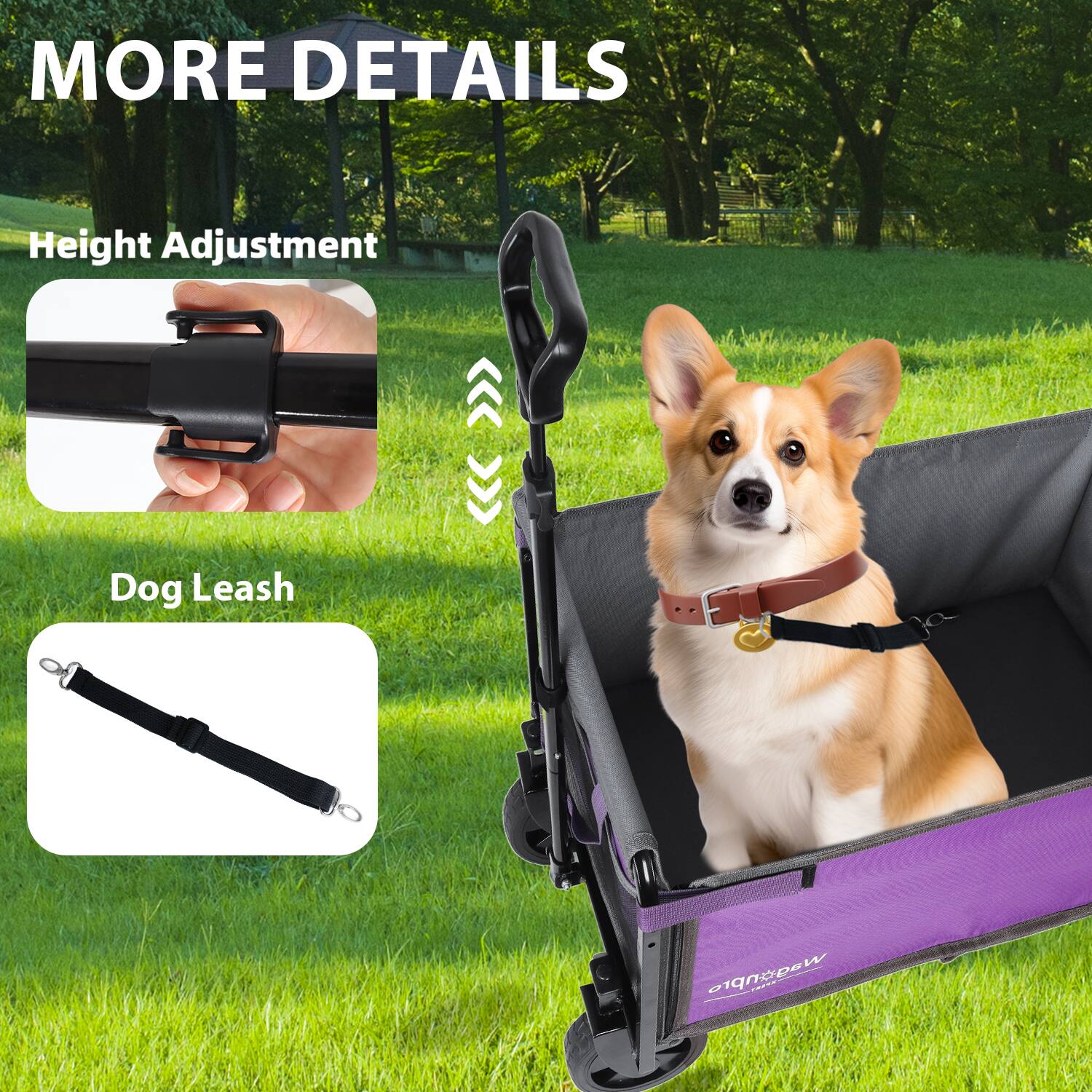 MORE DETAILS

Height Adjustment

Dog Leash