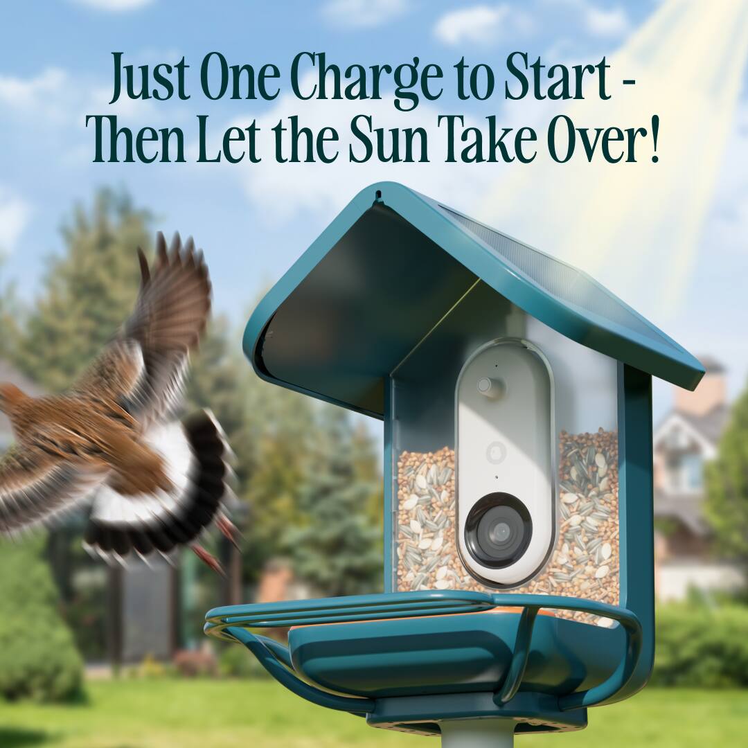 Just One Charge to Start - Then Let the Sun Take Over!