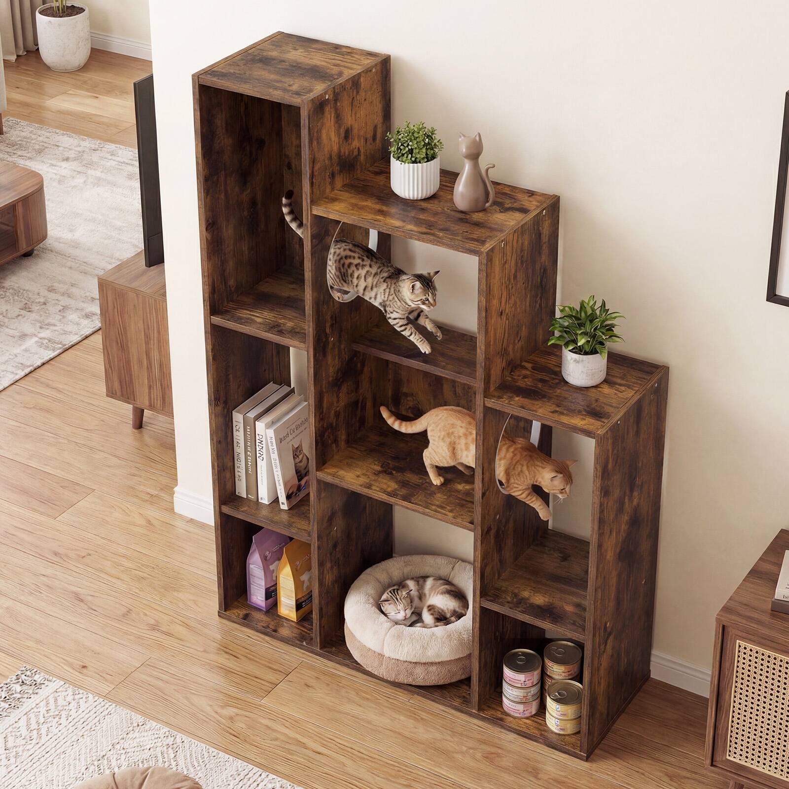 SLUN MUIALOR: 2 i 5 Ao 20M I 1