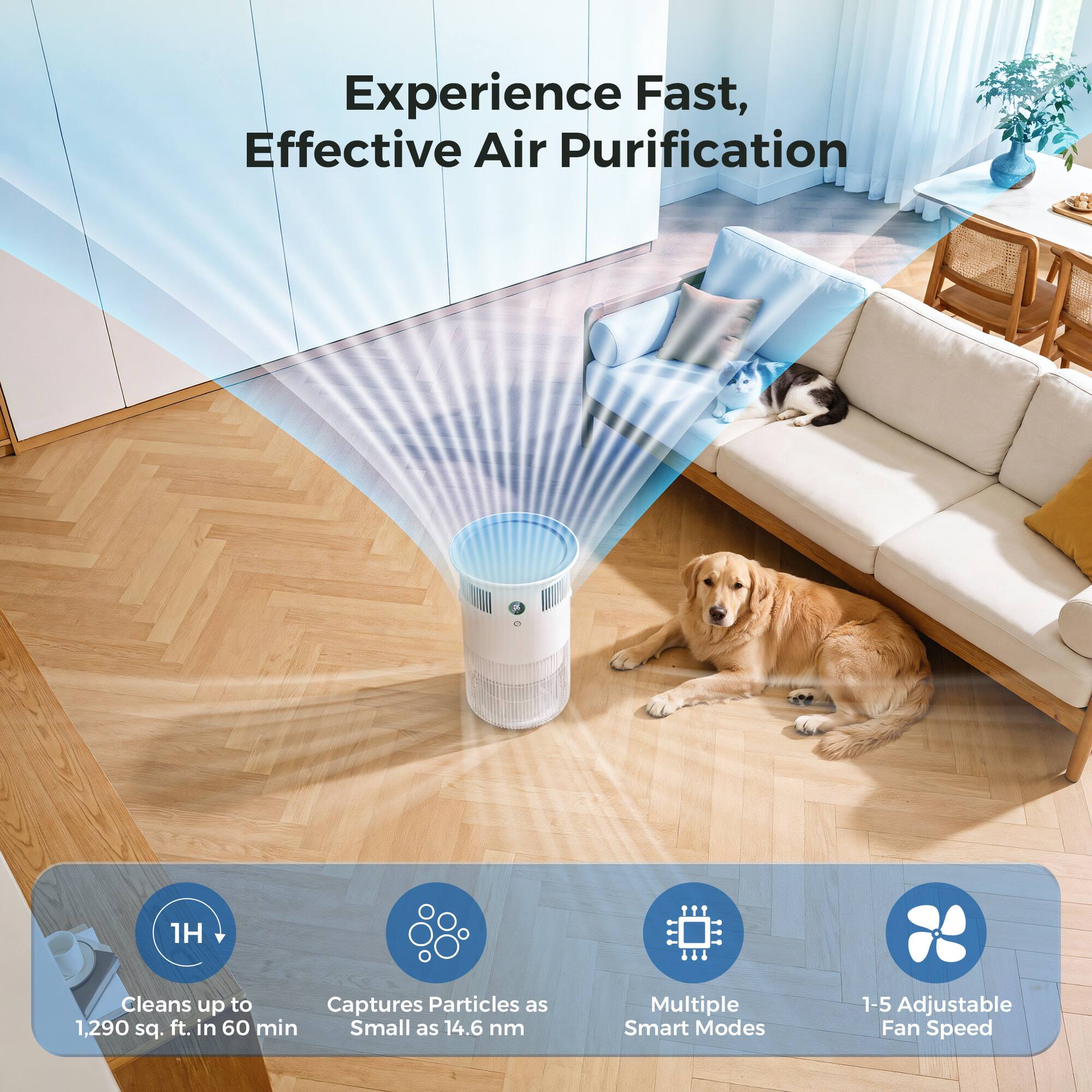 Experience Fast, Effective Air Purification

- Cleans up to 1,290 sq. ft. in 60 min
- Captures Particles as Small as 14.6 nm
- Multiple Smart Modes
- 1-5 Adjustable Fan Speed