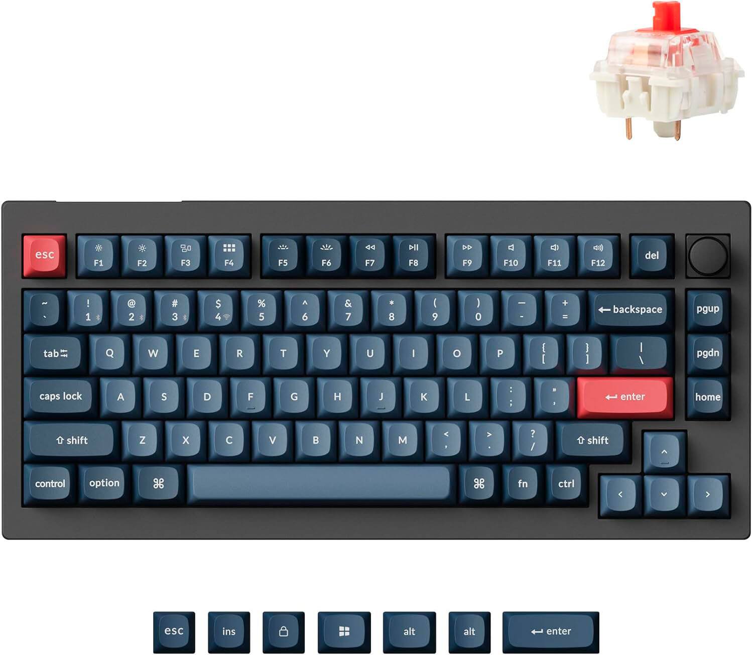 The image shows a blue and black keyboard with red keys. The keys are labeled with letters and numbers, including the numbers 1 through 9, the letters A through Z, and various punctuation marks. The keyboard also has a red key labeled "enter" and a red key labeled "backspace." The keyboard is designed to be used with a computer, and it is likely intended for a Mac computer, as indicated by the presence of the "fn" key.