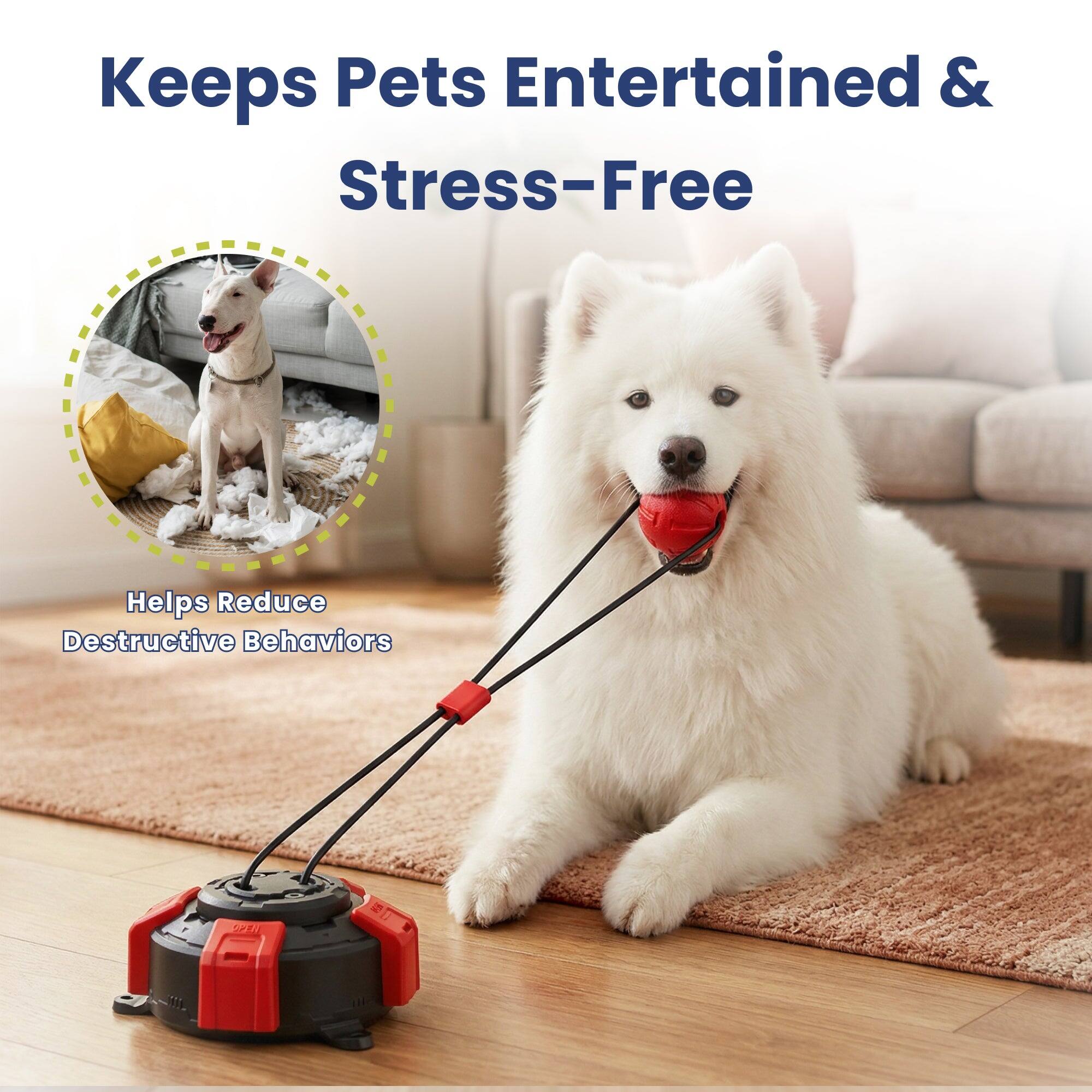 Keeps Pets Entertained & Stress-Free  
Helps Reduce Destructive Behaviors