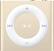 Front. Apple - iPod shuffle® 2GB MP3 Player (6th Generation - Latest Model) - Gold.