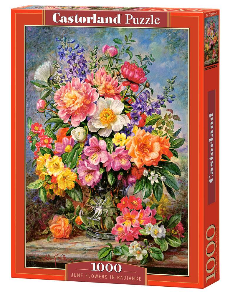 Castorland - 1000 Piece Jigsaw Puzzle, June Flowers in Radiance, Flower and plants Puzzle, Painting Puzzle, C-103904-2 - Red