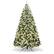 Front. Costway - 7.5Ft Pre-Lit Premium Snow Flocked Hinged Artificial Christmas Tree w/550 Lights - Green/White.