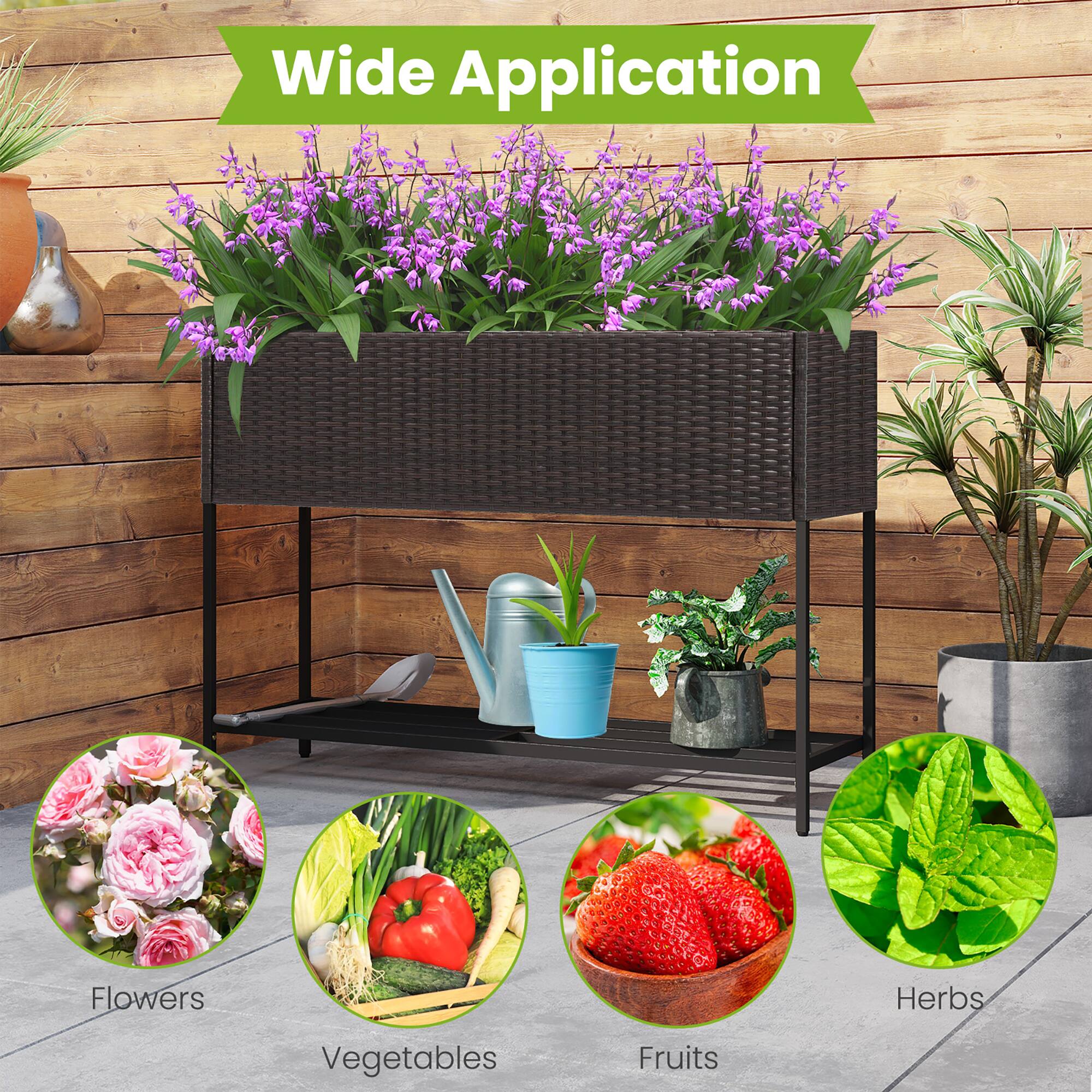 Wide Application

- Flowers
- Vegetables
- Fruits
- Herbs