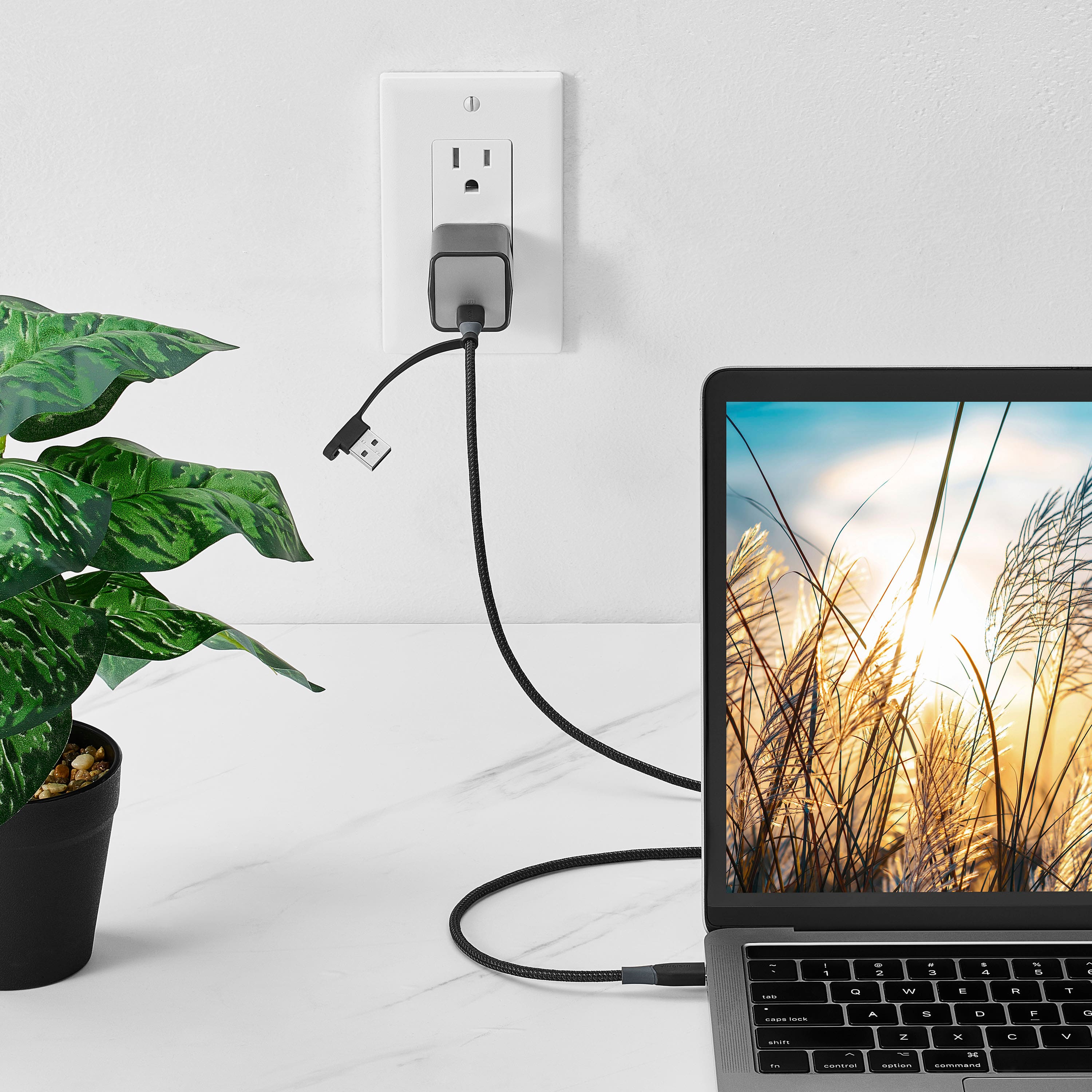 Alt View 2. Insignia™ - 6’ 2-in-1 USB-C to USB-C Charge-and-Sync Cable with USB Adapter - Black.