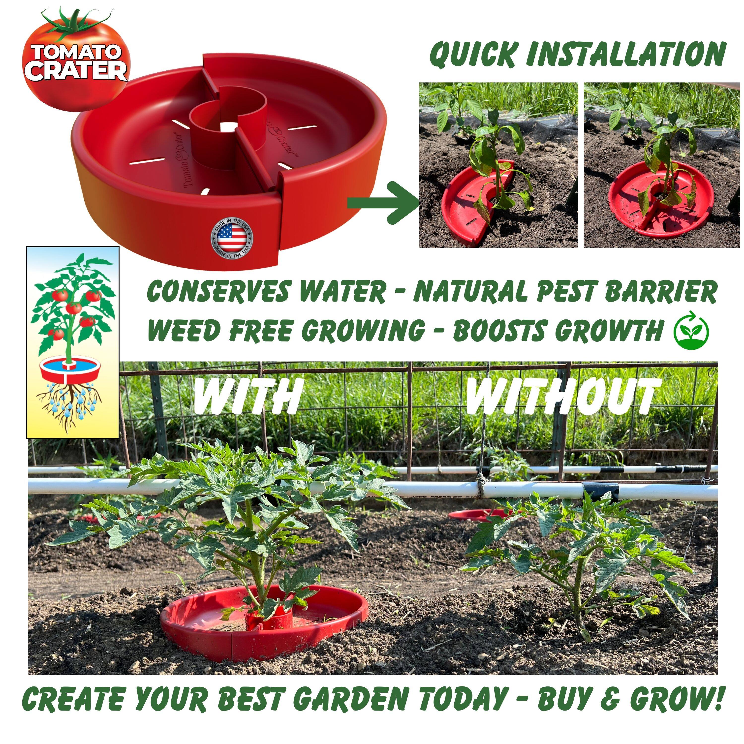 TOMATO CRATER

QUICK INSTALLATION

CONSERVES WATER - NATURAL PEST BARRIER WEED FREE GROWING - BOOSTS GROWTH

WITH WITHOUT

CREATE YOUR BEST GARDEN TODAY - BUY & GROW!
