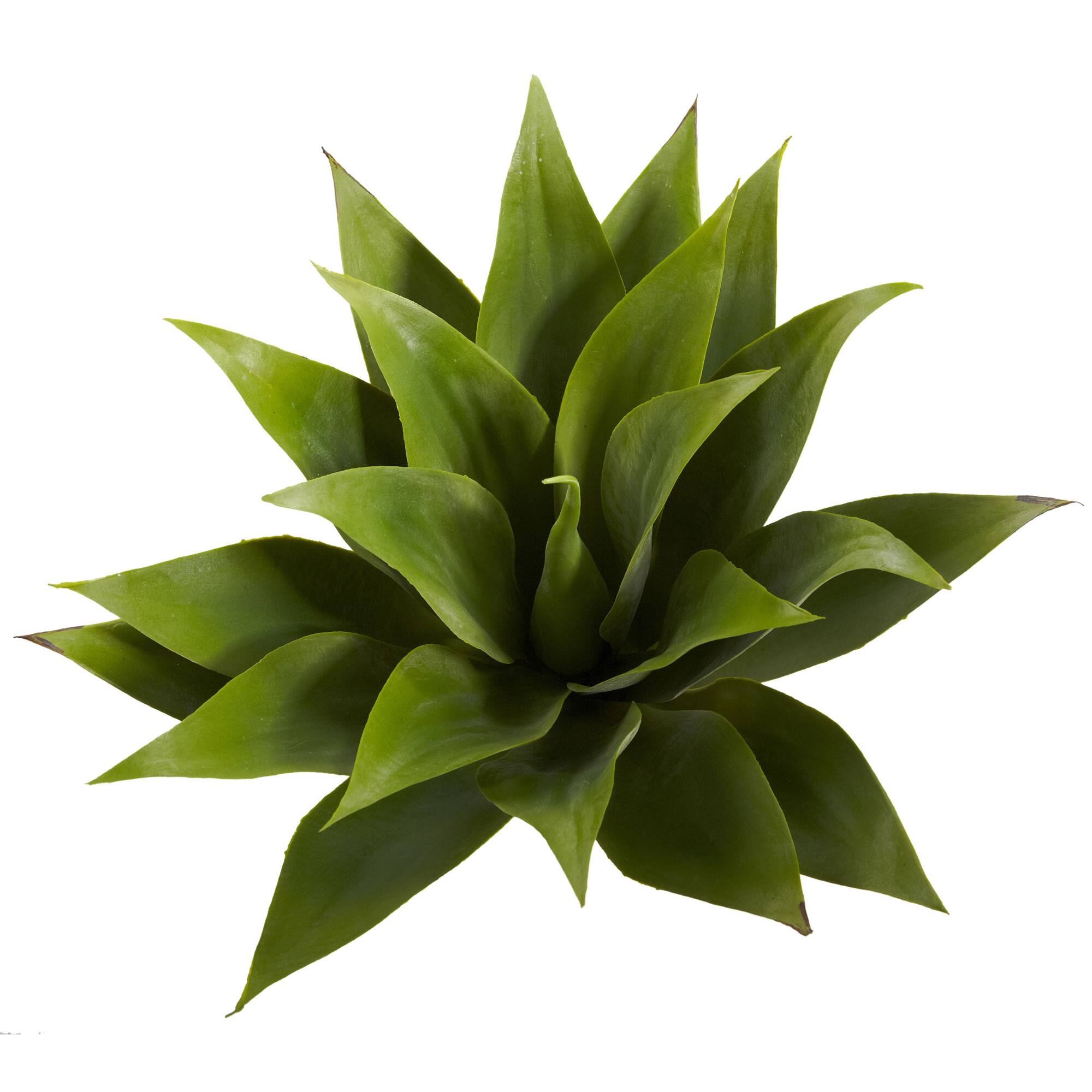 Left. BreeBe - 17" Agave Succulent Plant (Set of 2) - Green.