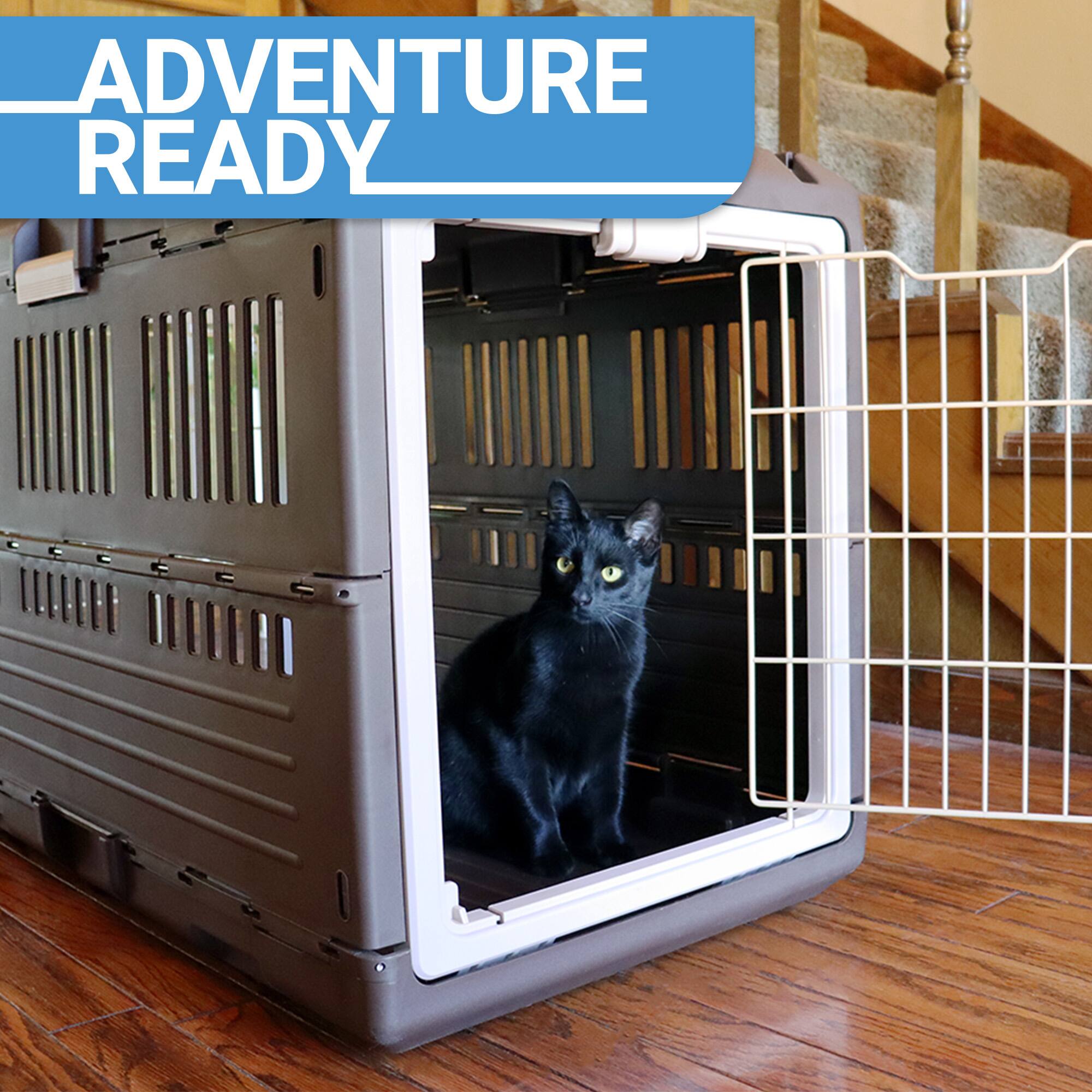 ADVENTURE READY